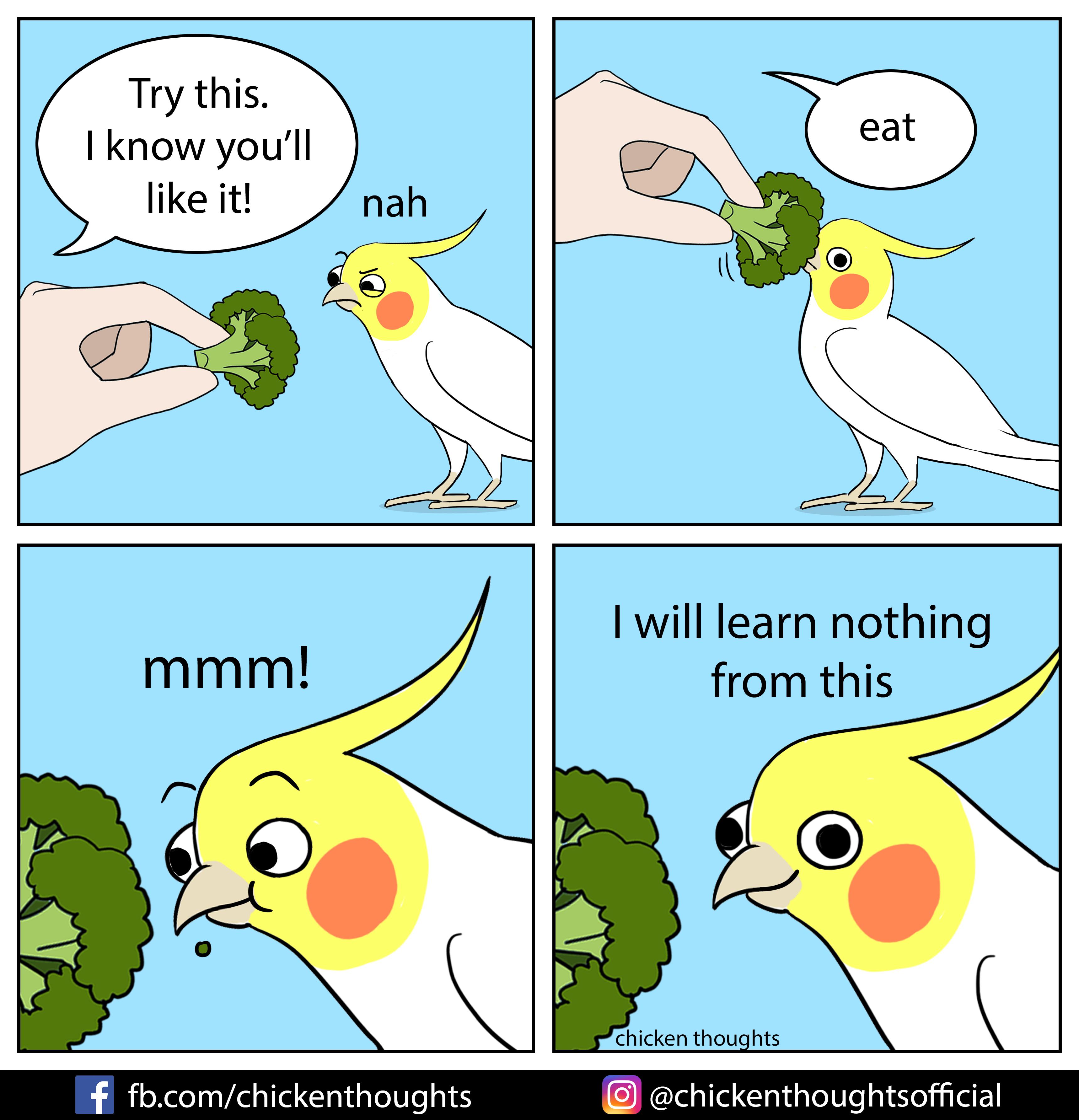 Trust me r/Chicken_Thoughts