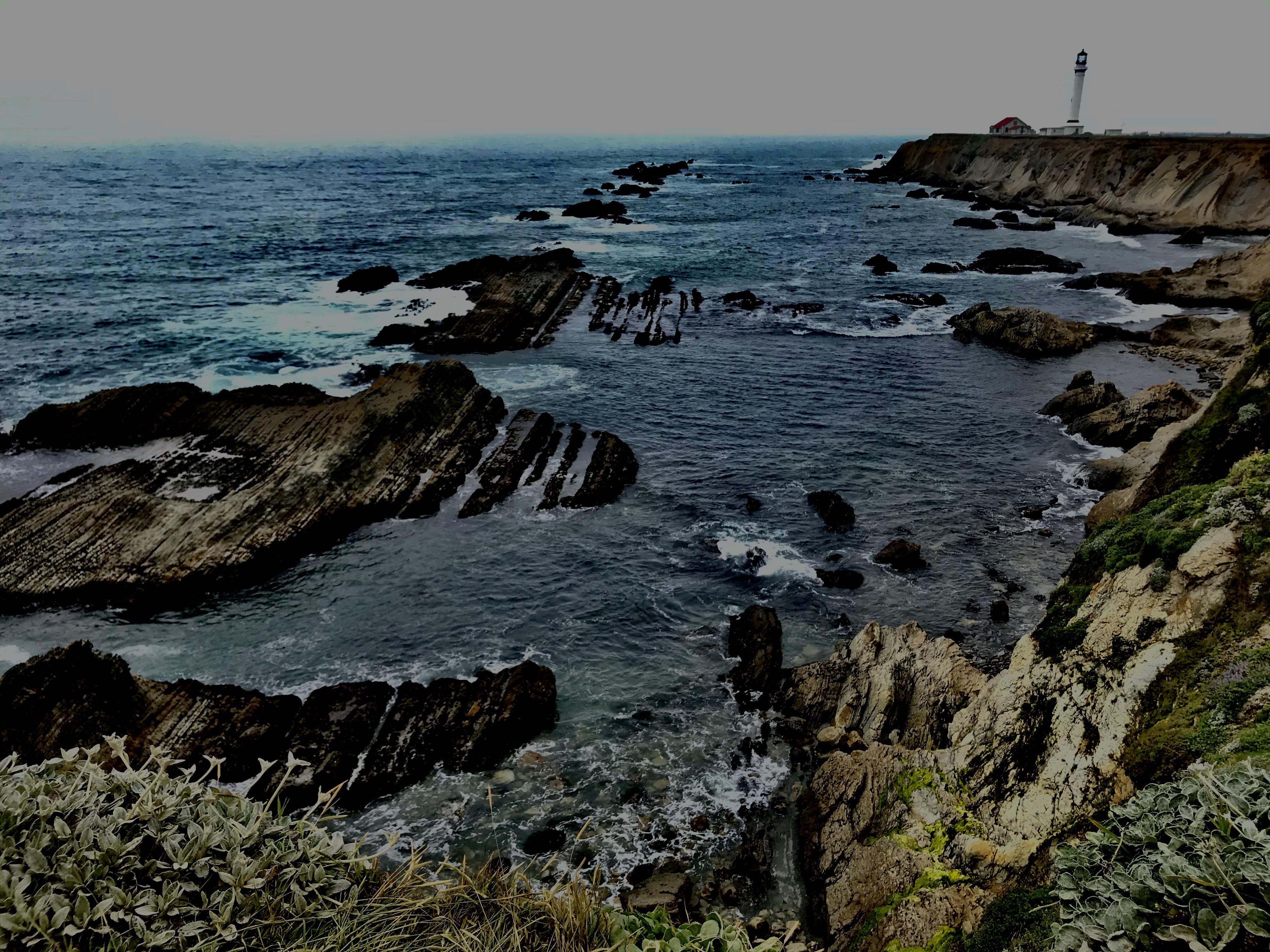 Point arena, California r/pics