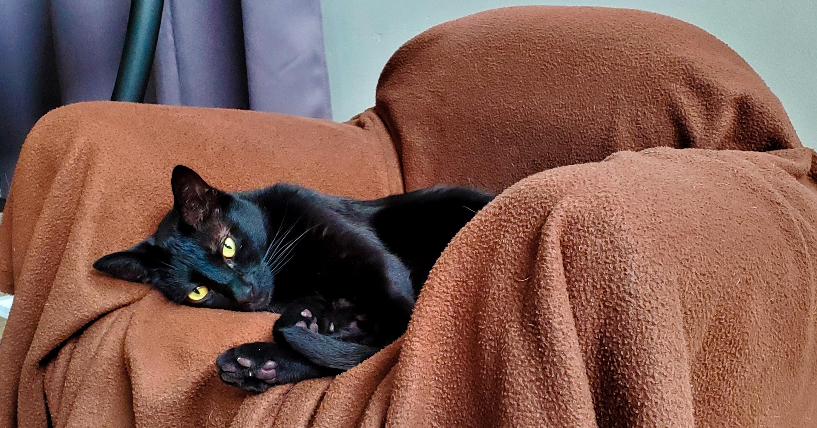 Apparently Friday the 13th was exhausting. r/pics