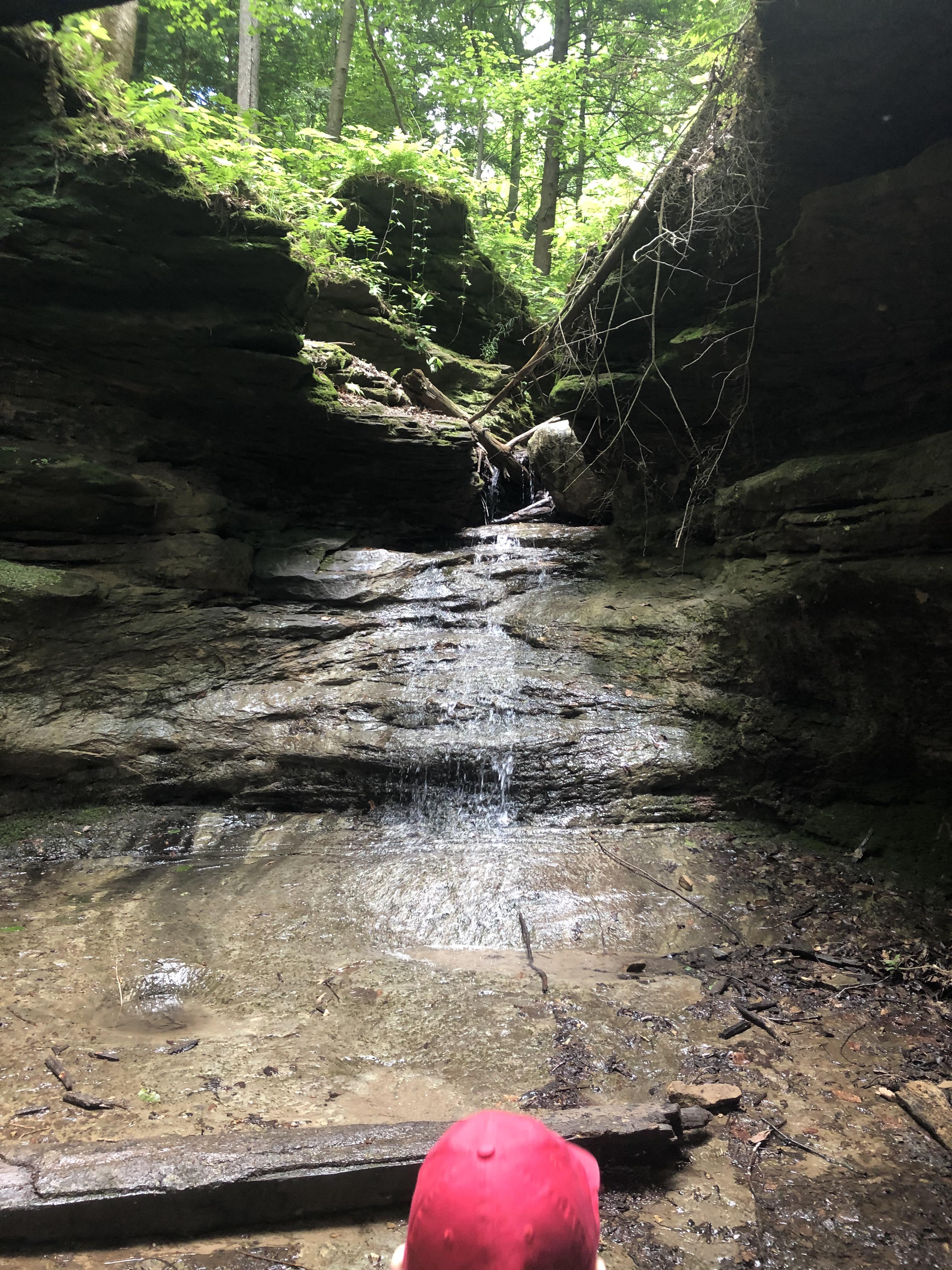 Turkey Run is beautiful r/Indiana