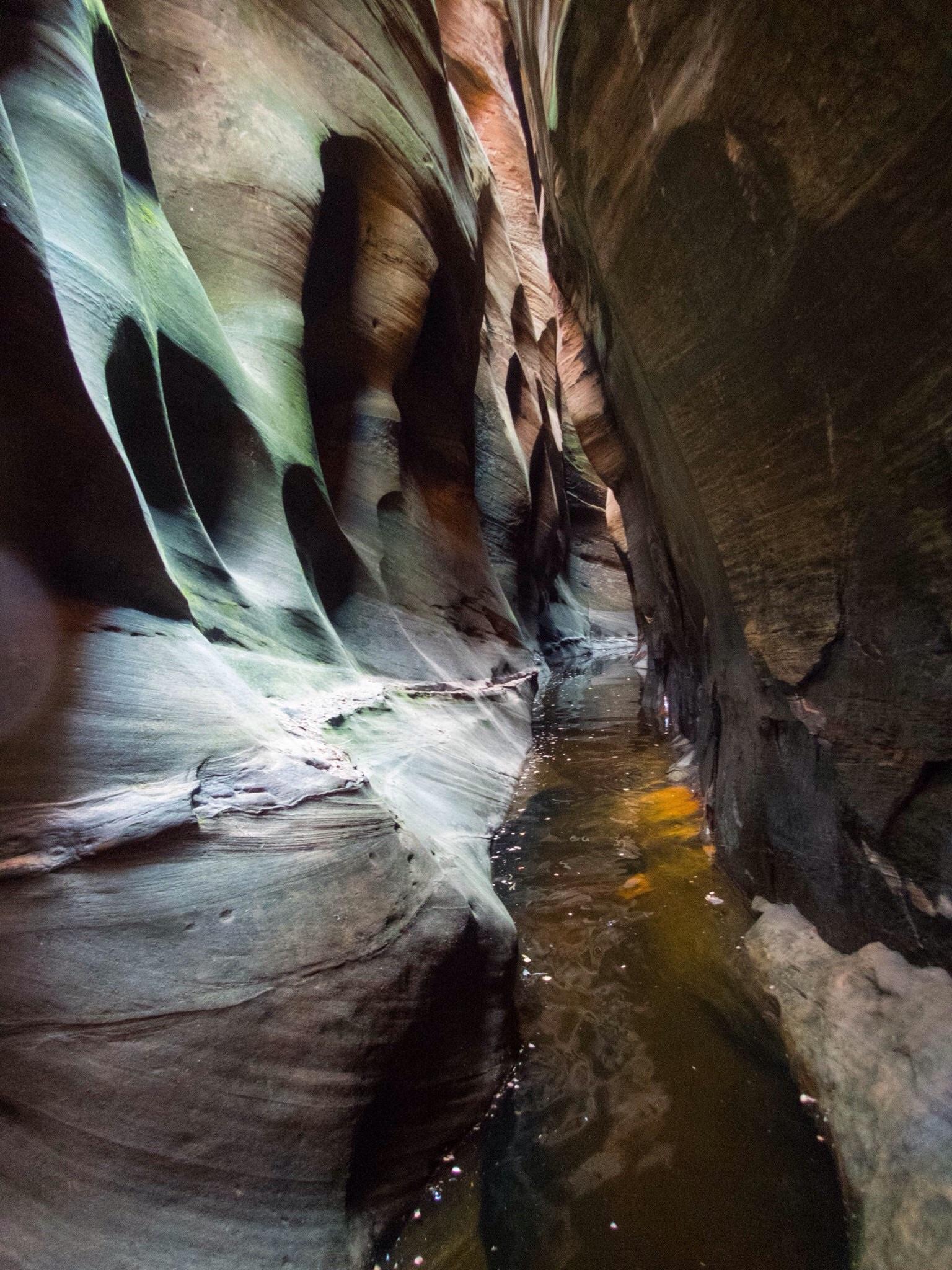 A beautiful section of narrows in Heaps Canyon, Zion N.P., Utah r/canyoneering