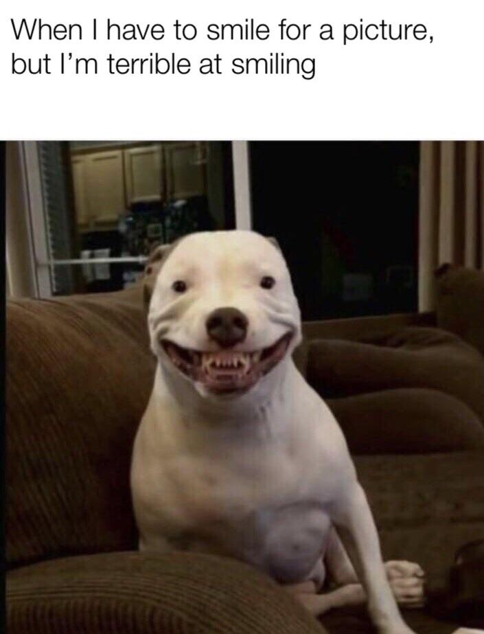 My teeth are as bad as a British person’s r/memes