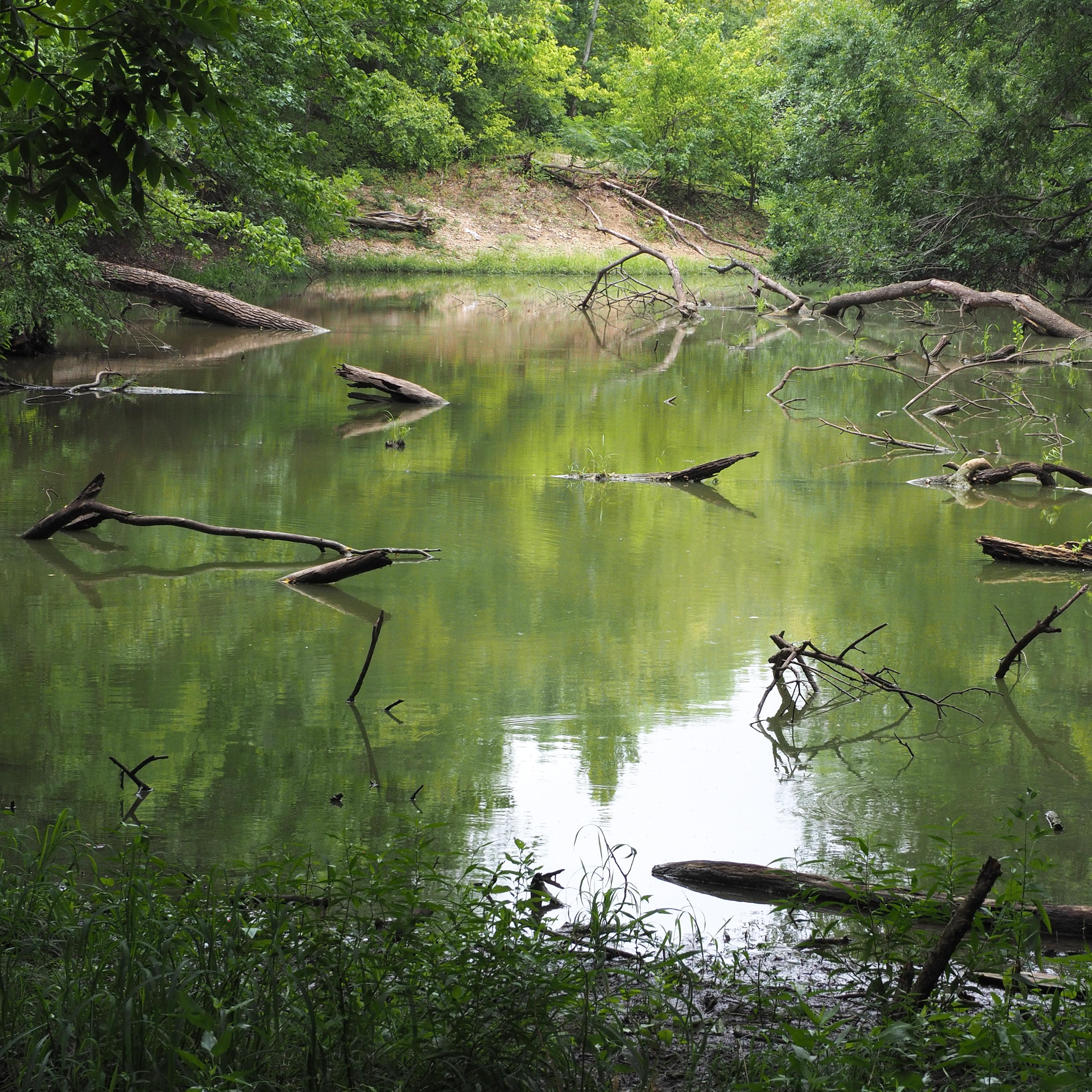 Leon River backwater, below Belton Dam r/TexasViews