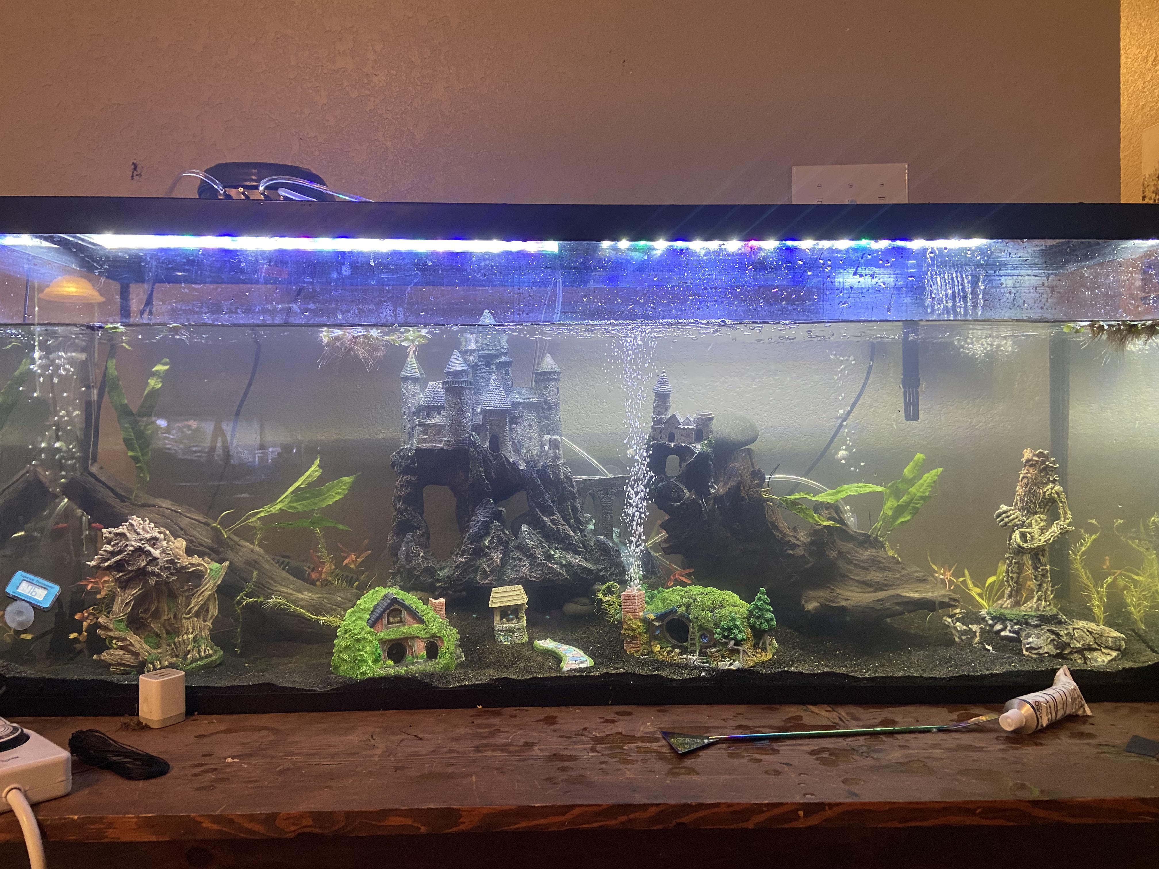 Plants! r/Aquariums