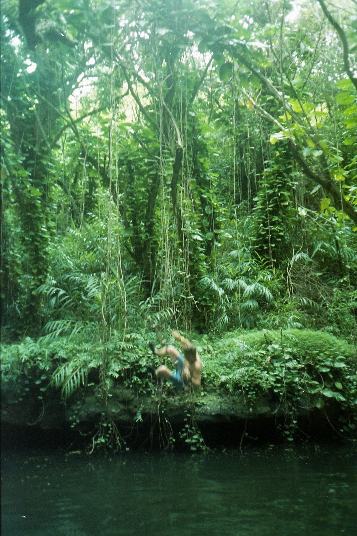 Rope Swing Kauai Nikonos V 35mm Expired Superia 400 r/analog