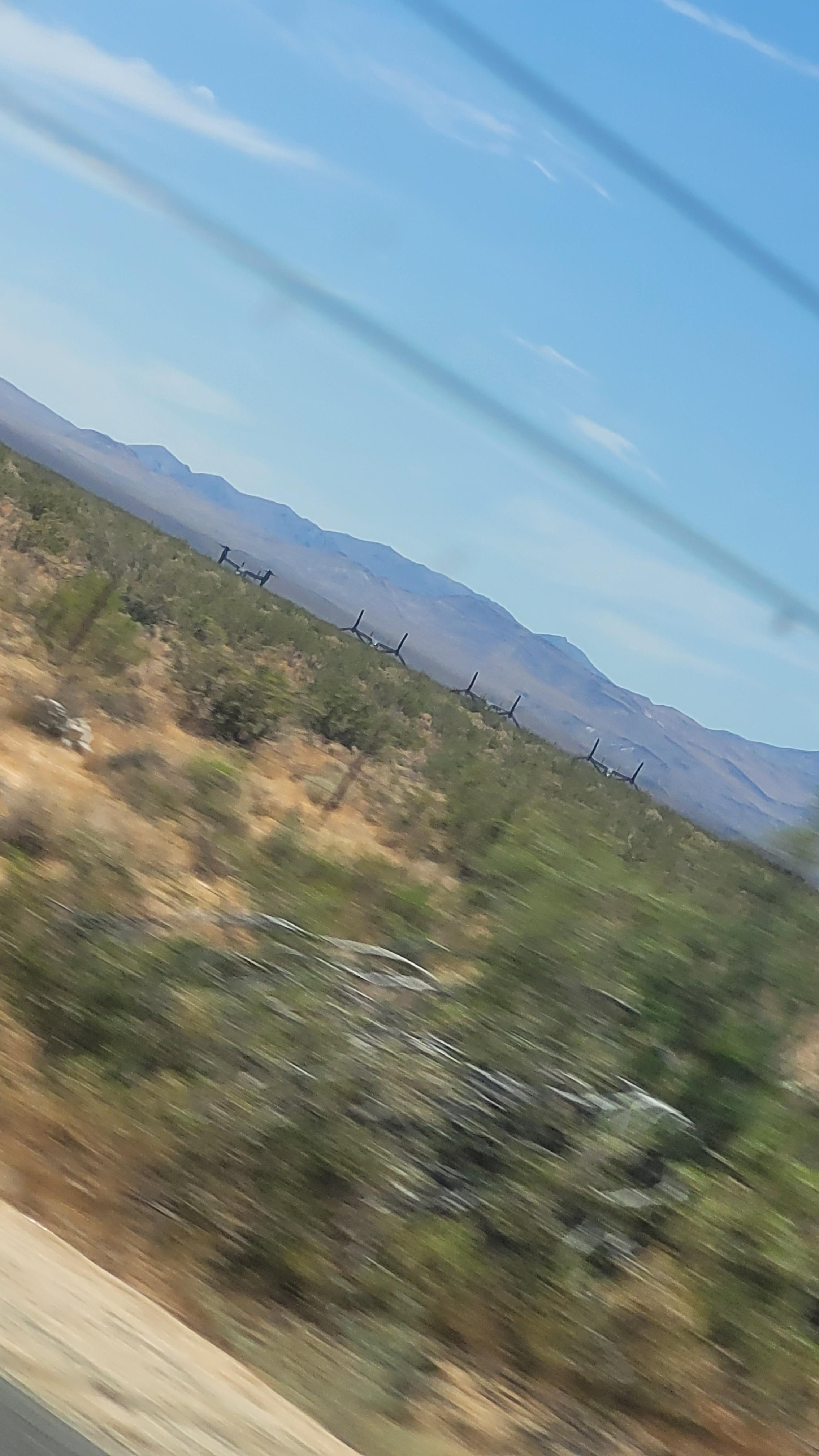 North of Pearsonville CA, why are they here? r/Whatisthis