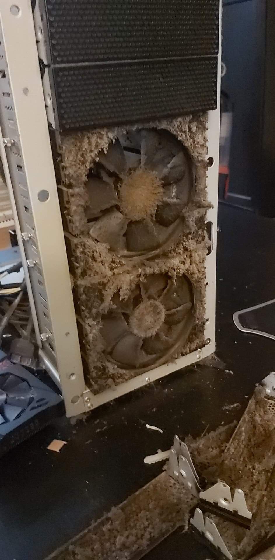 10+ Years of Dust r/dustypcs