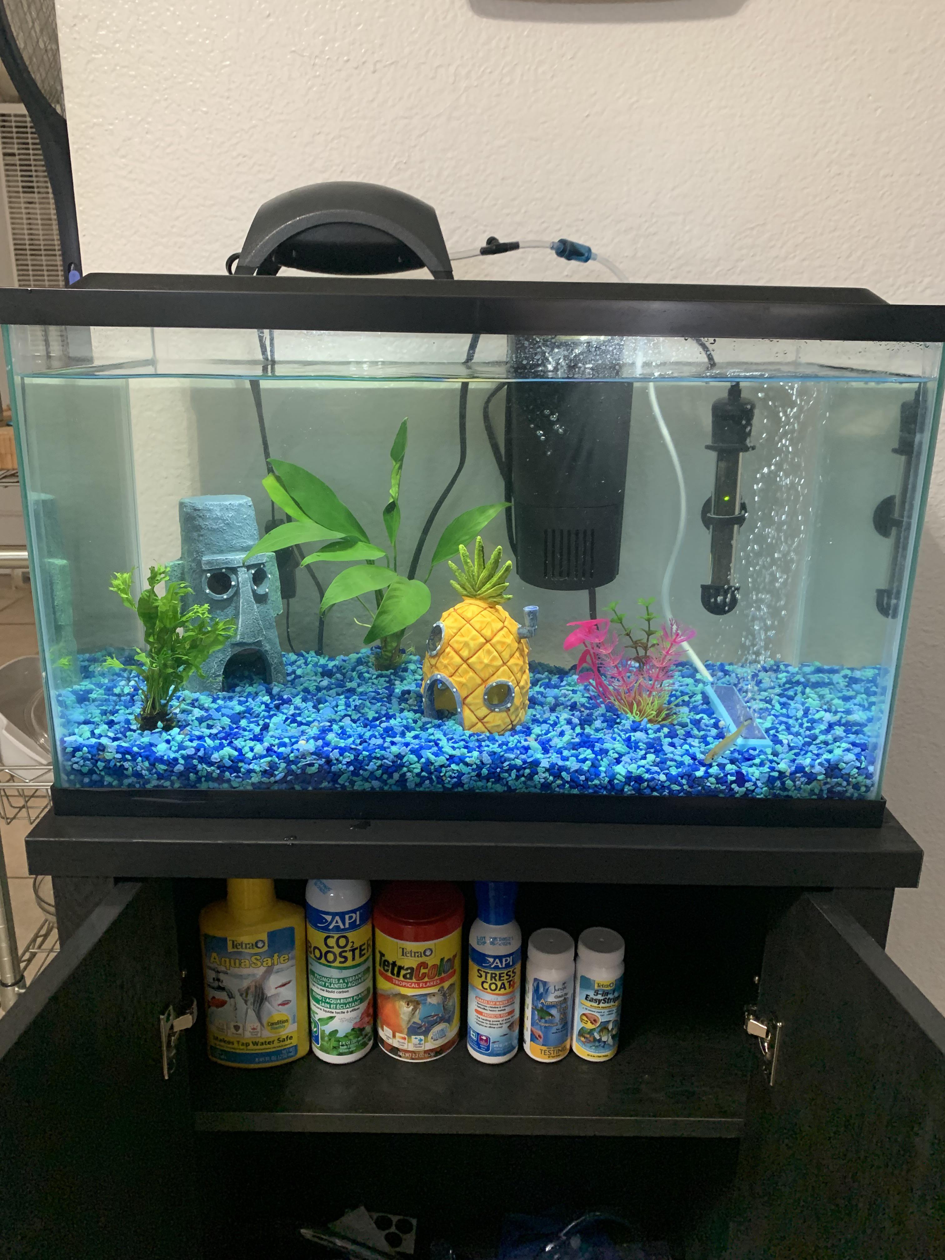 I got a used fish tank. fishtank