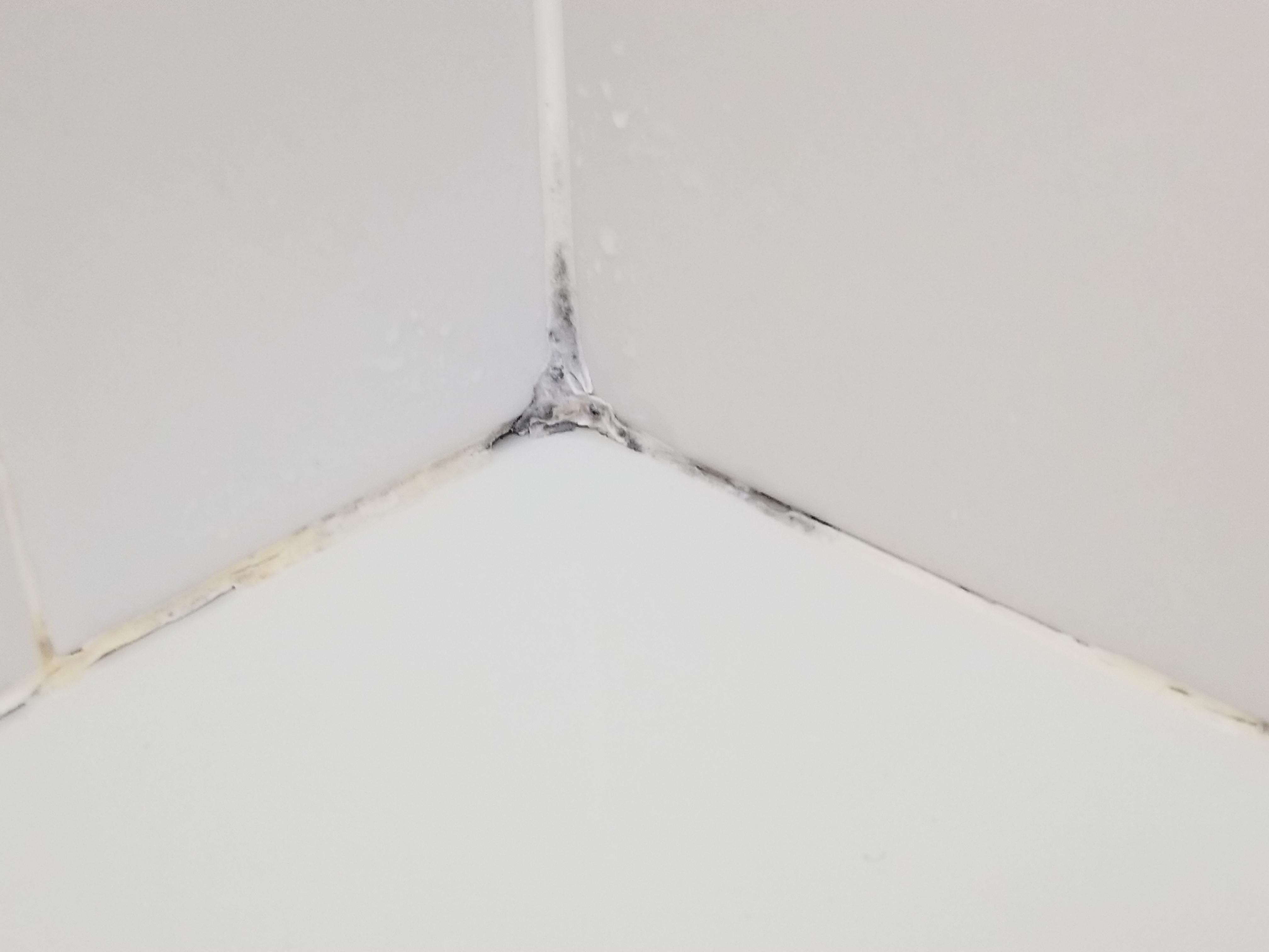 Black on Shower Caulk Cleaning Tips? r/CleaningTips