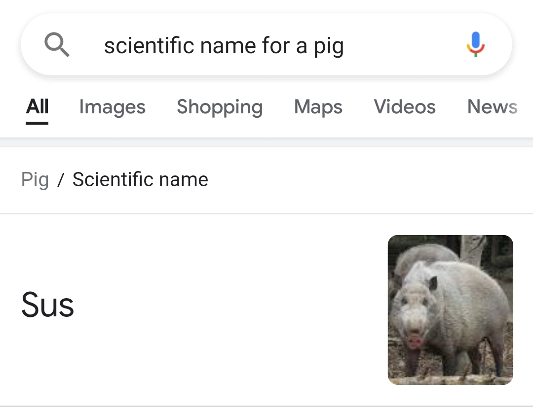 Scientific name for a pig r/amogus