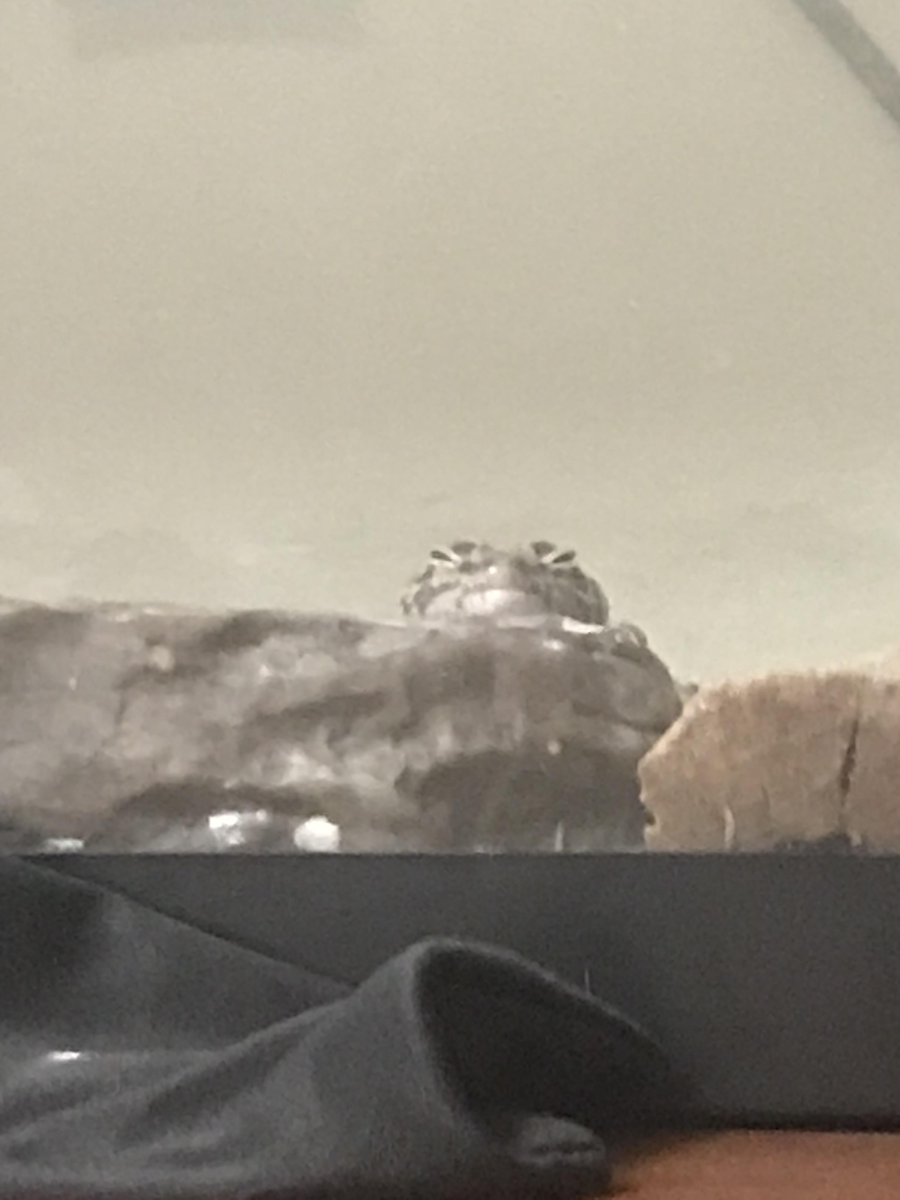 What are you up to, you sneaky human? r/EthanTRM