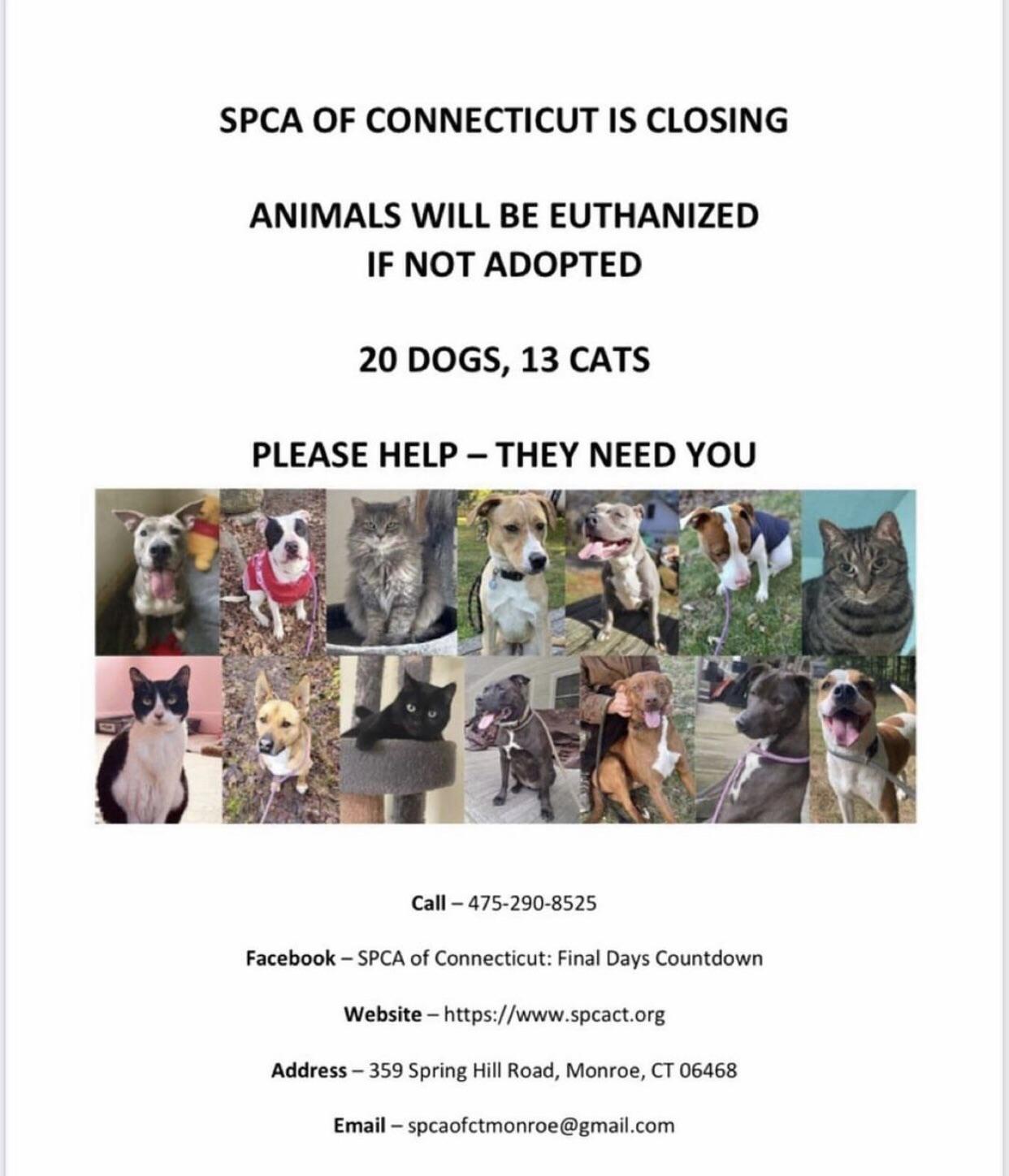 Best Animal Rights Posts Reddit