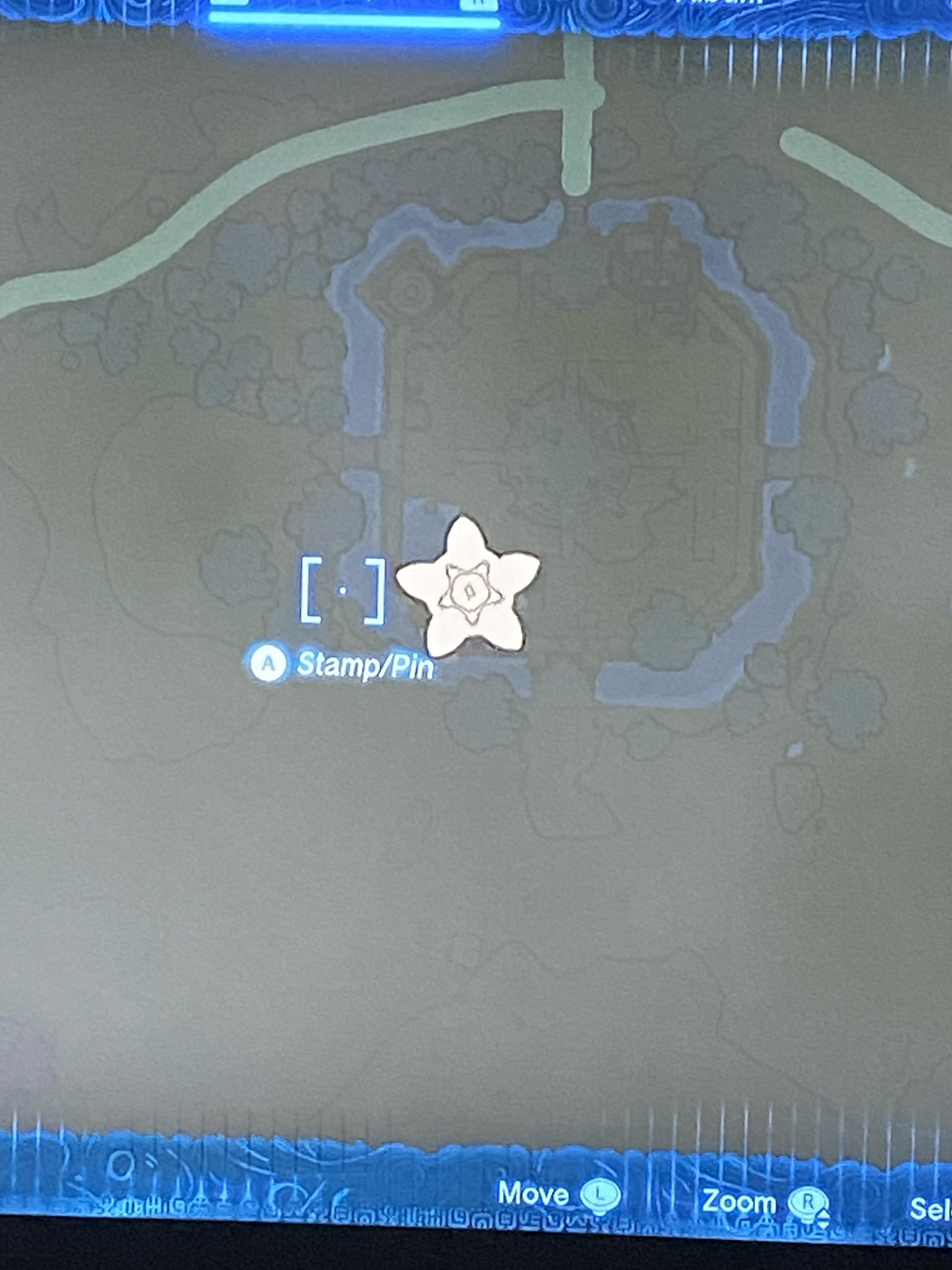 What is this pedal in the sky? : r/tearsofthekingdom