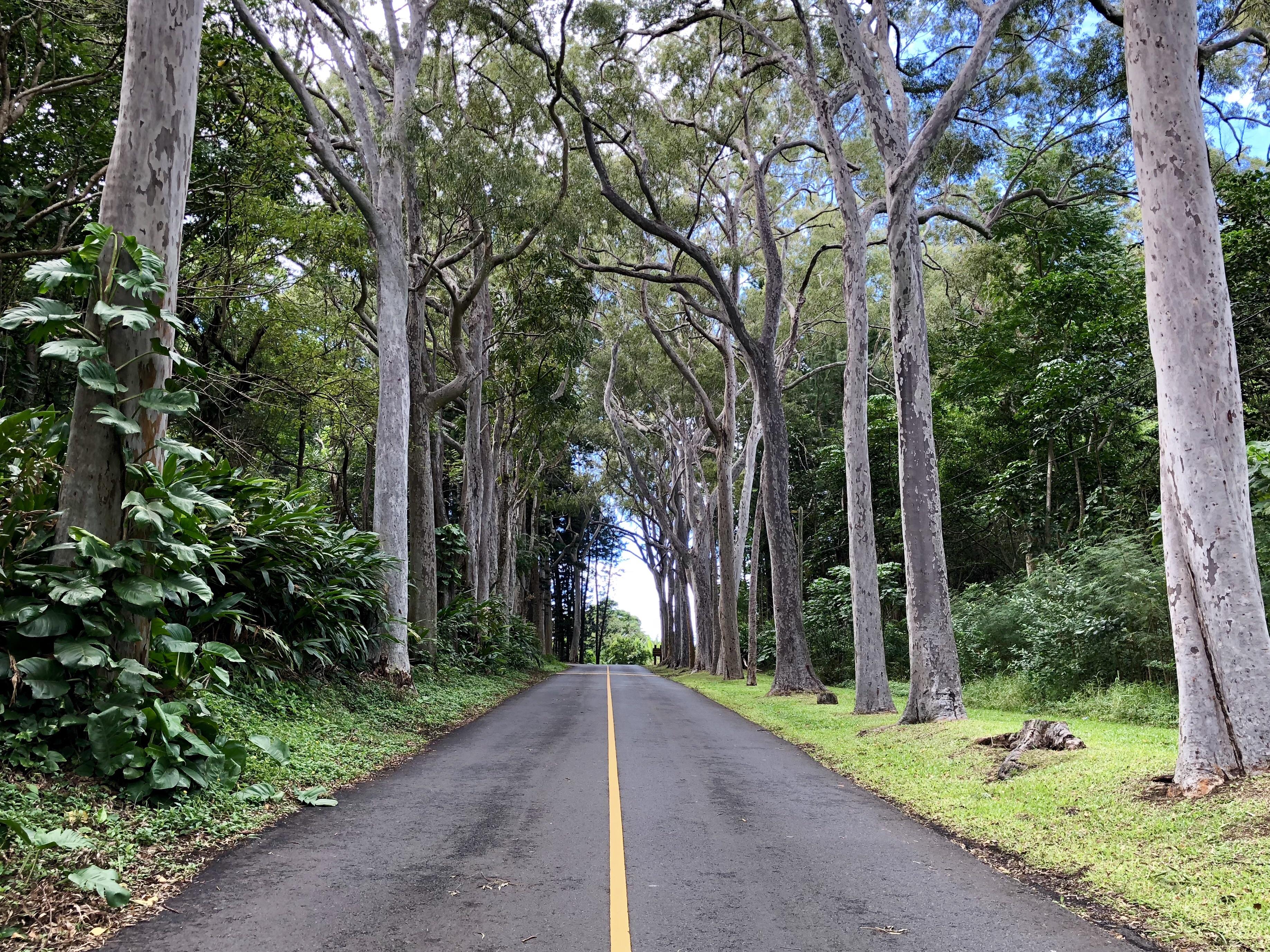 Entrance to Tantalus Lookout, Oahu. r/Hawaii
