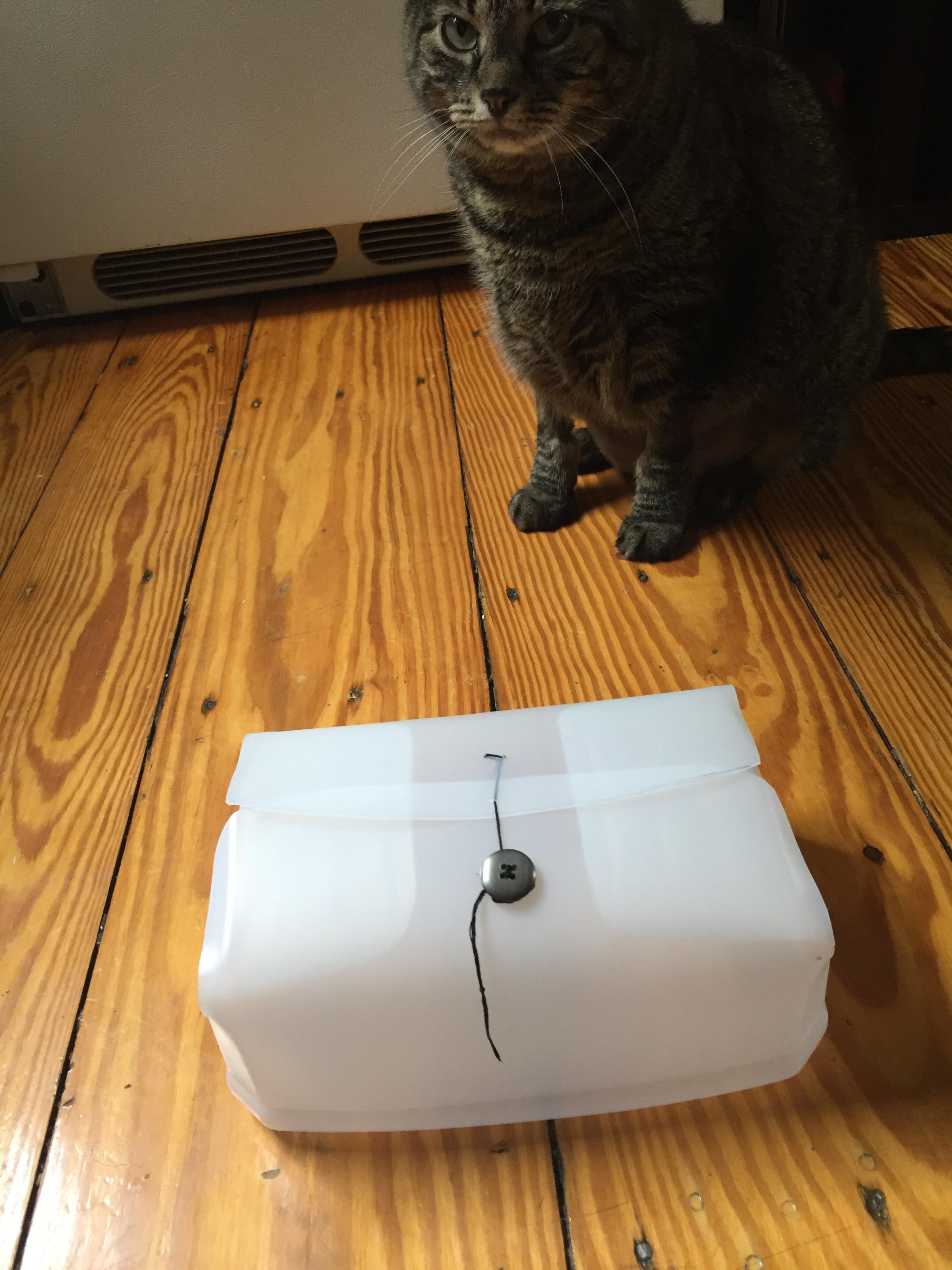 [Upcycle] Old litter container is now a little box r/somethingimade