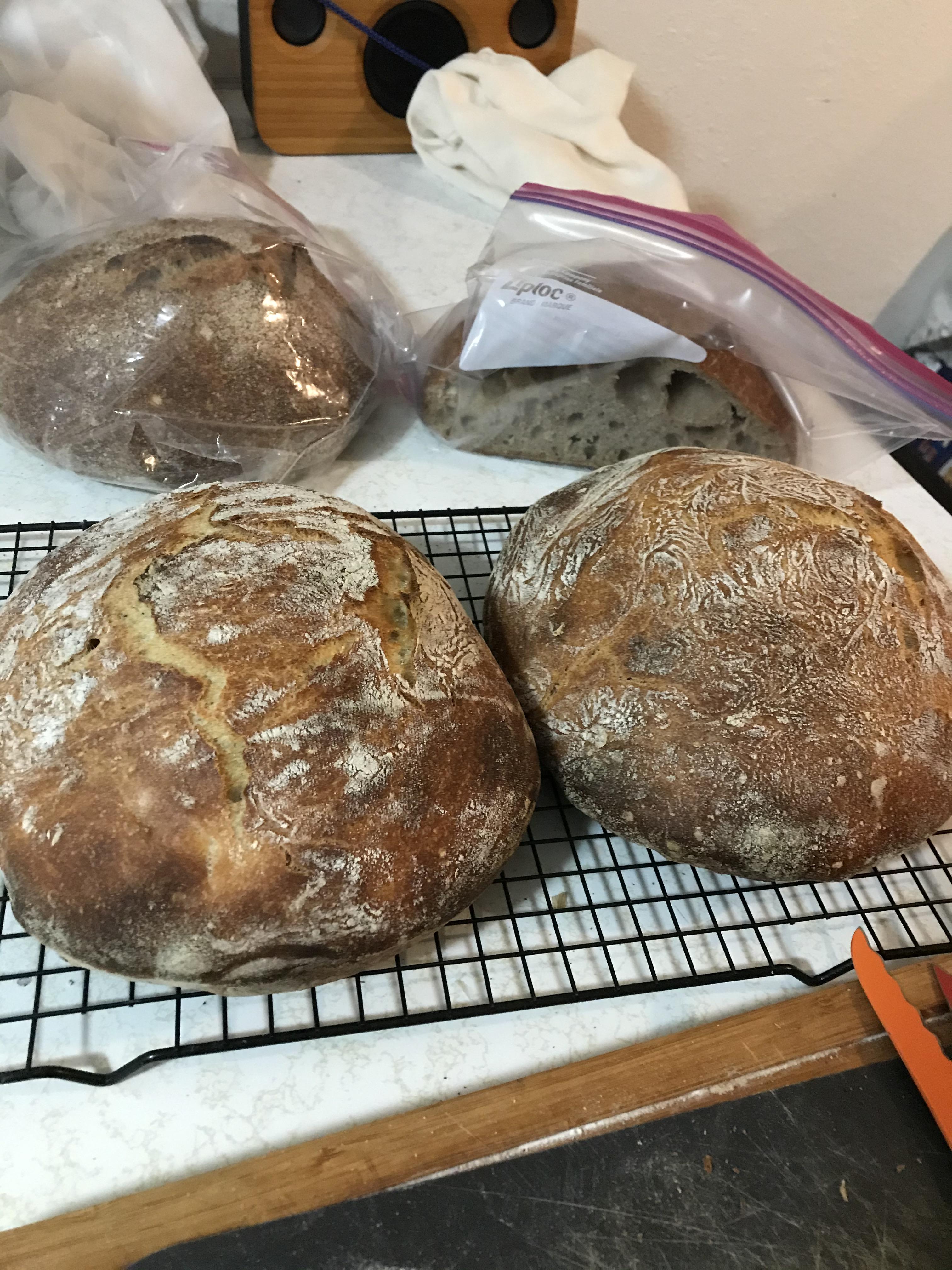 First time baking this style of bread, used flour water salt yeast as a guide and got in 4 loafs