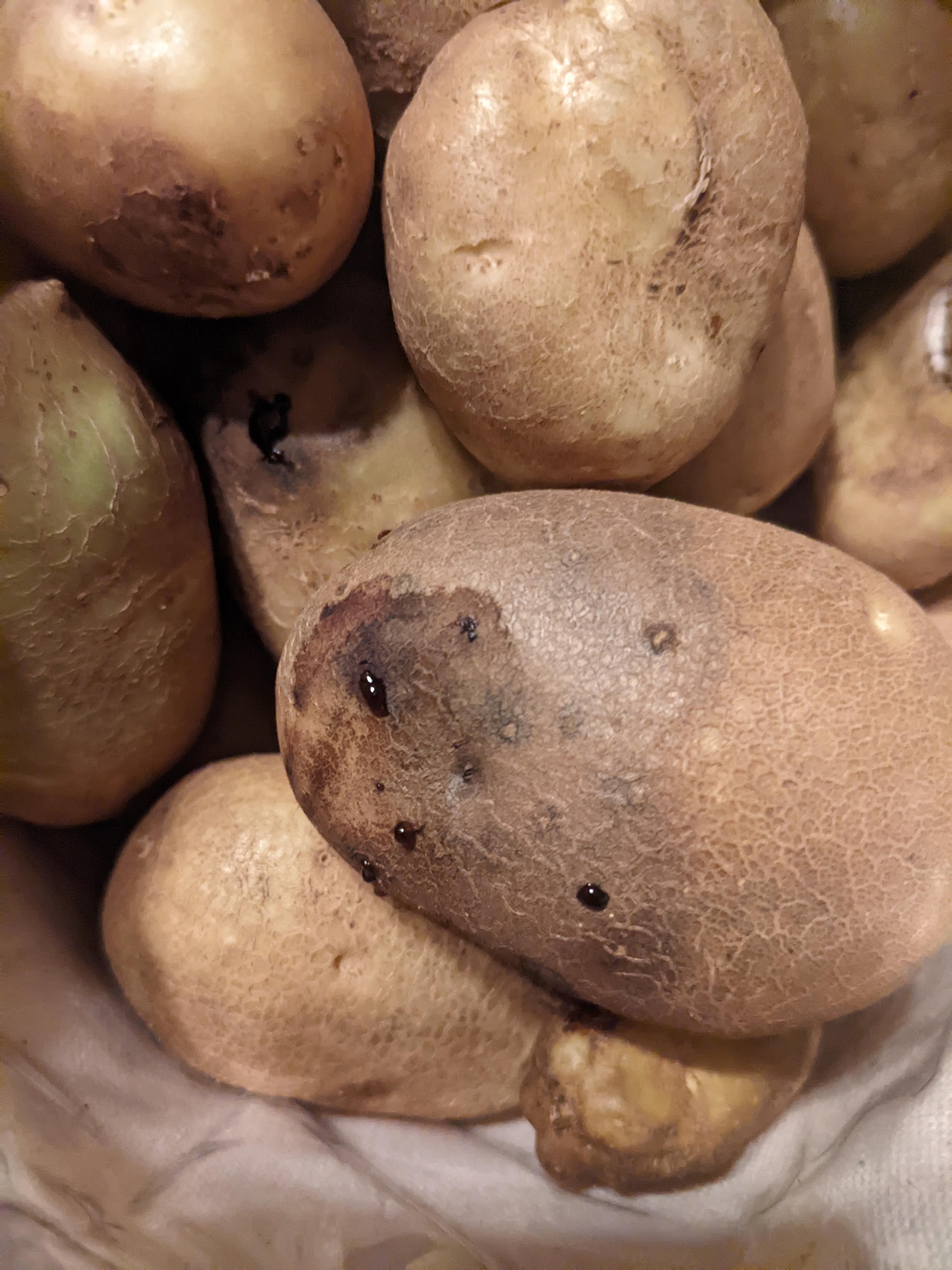 Does anyone know what this black liquid coming from my potatoes is