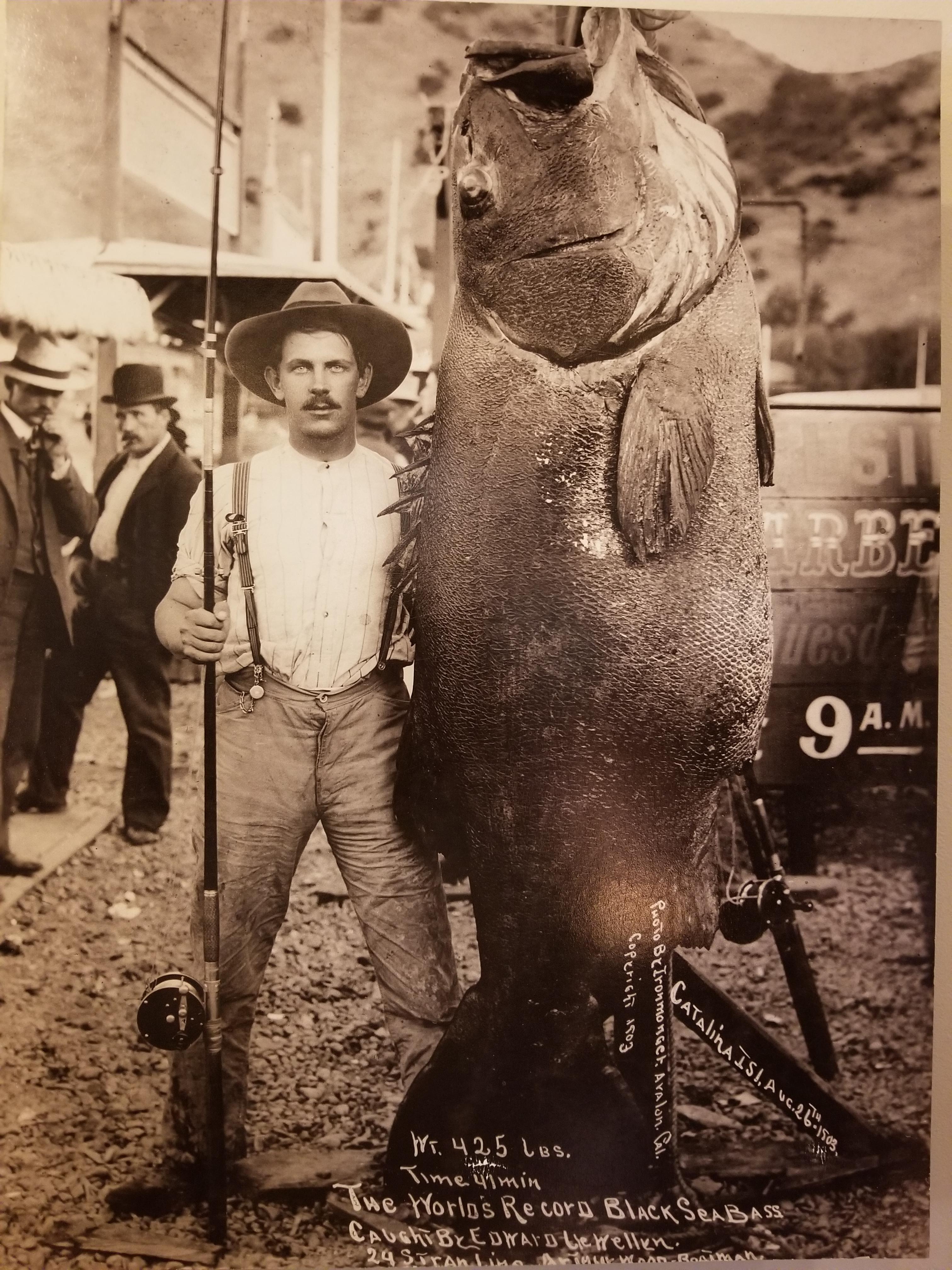 A World Record Catch, 425 lbs Black Sea Bass r/OldSchoolCool