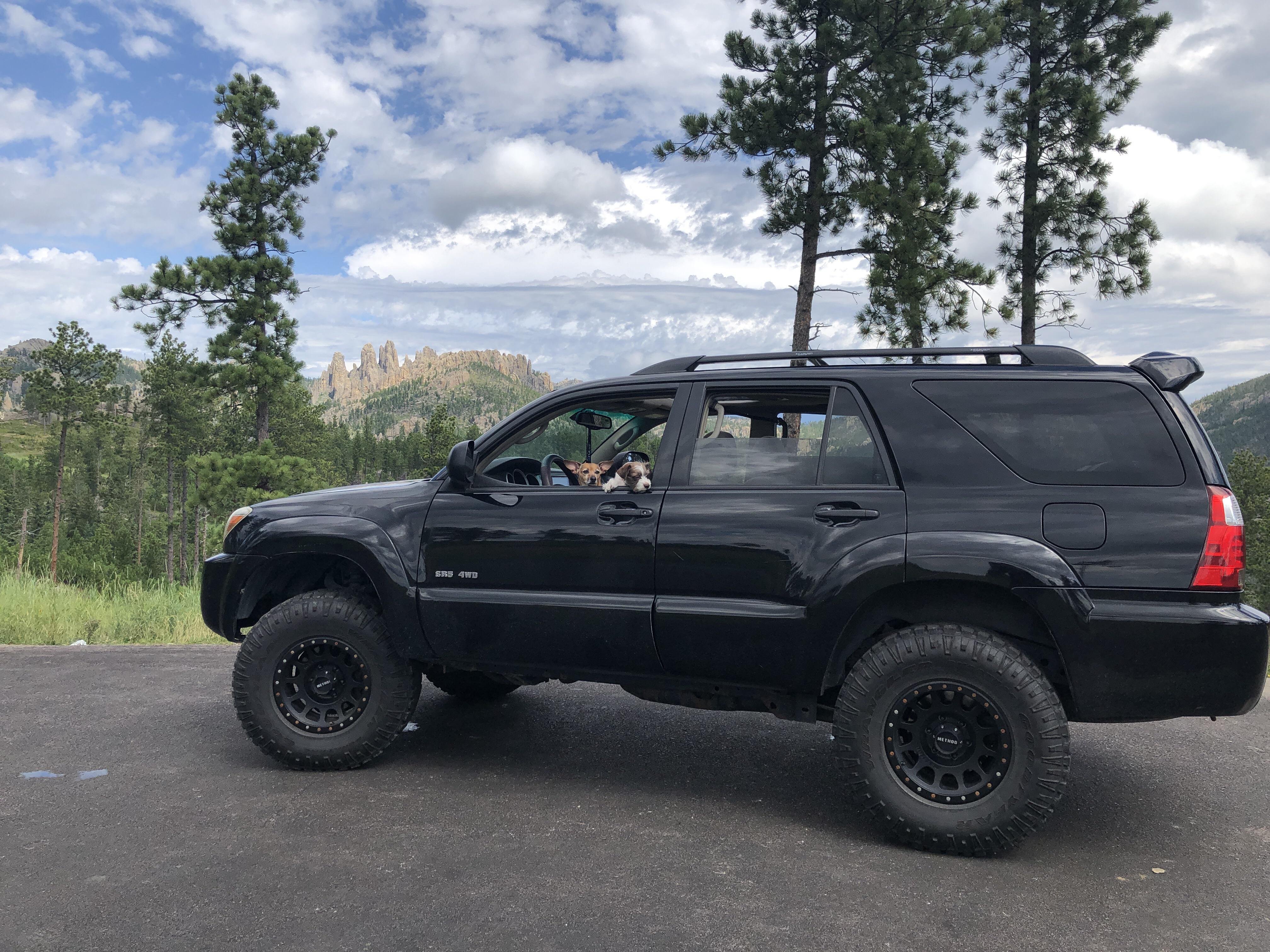 Black Hills car camping with the wife & pups r/4Runner