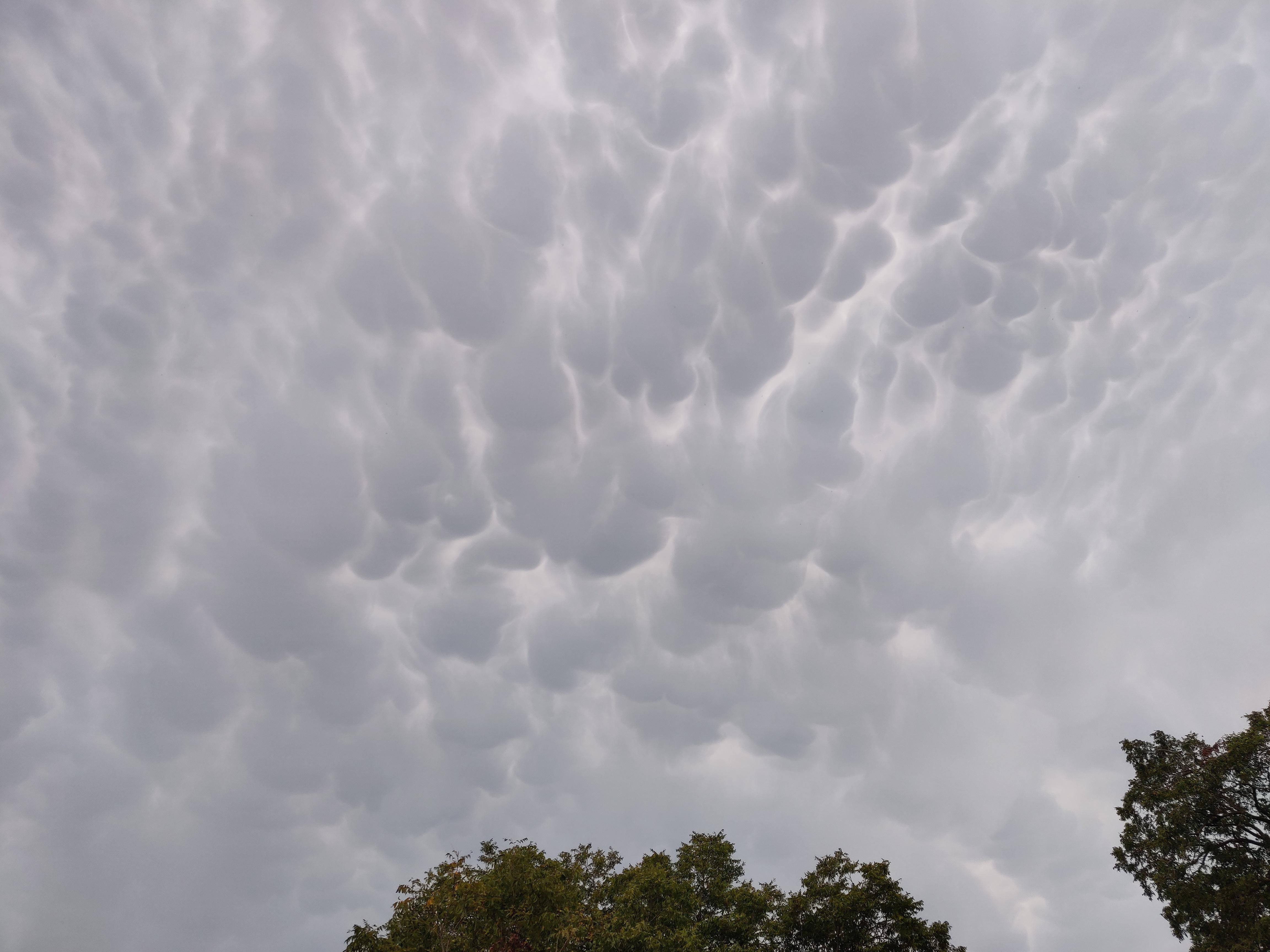 That Dallas cold front r/Dallas