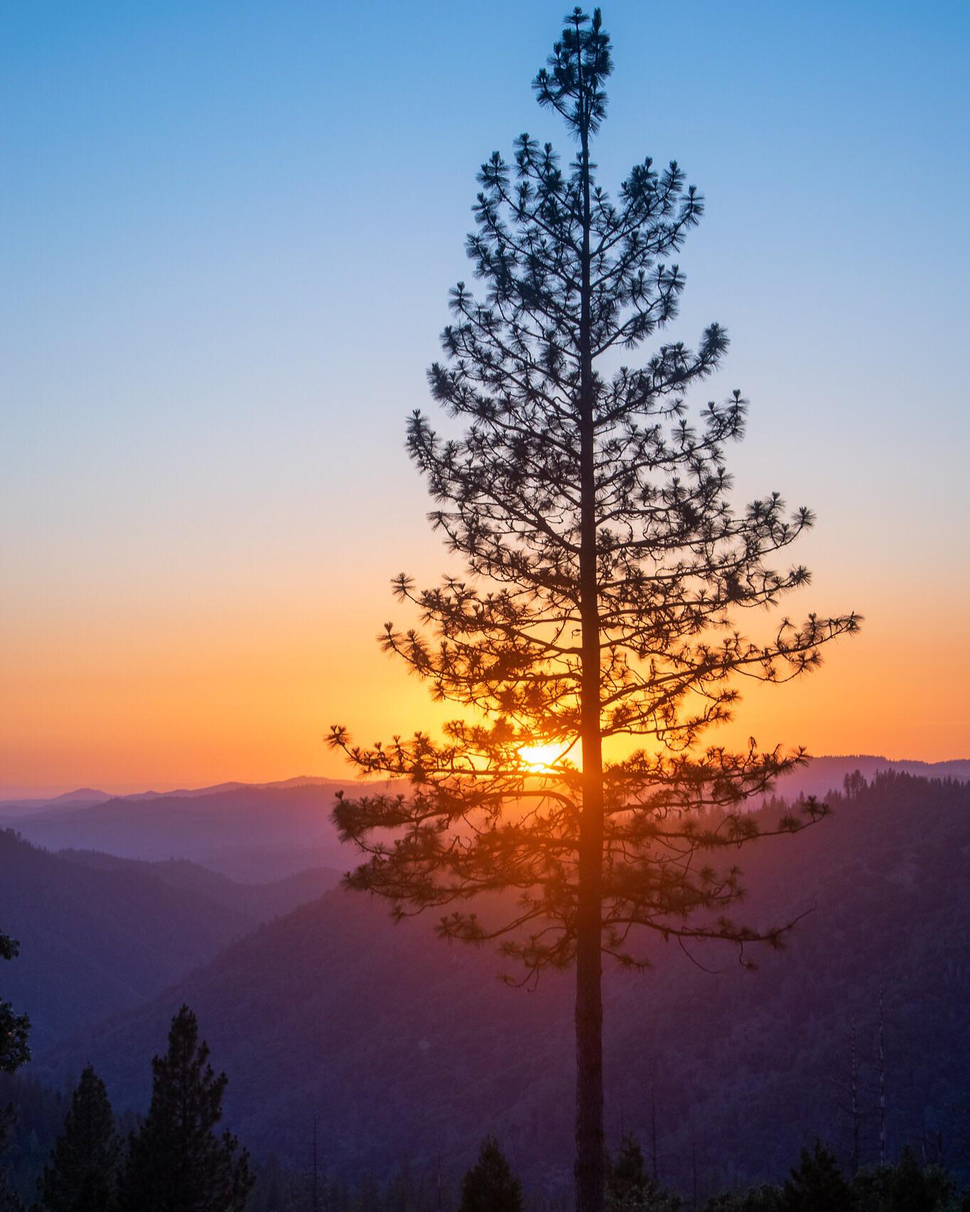 MiWuk Village, Sugarpine, CA [OC] [1365 x 1706] r/EarthPorn