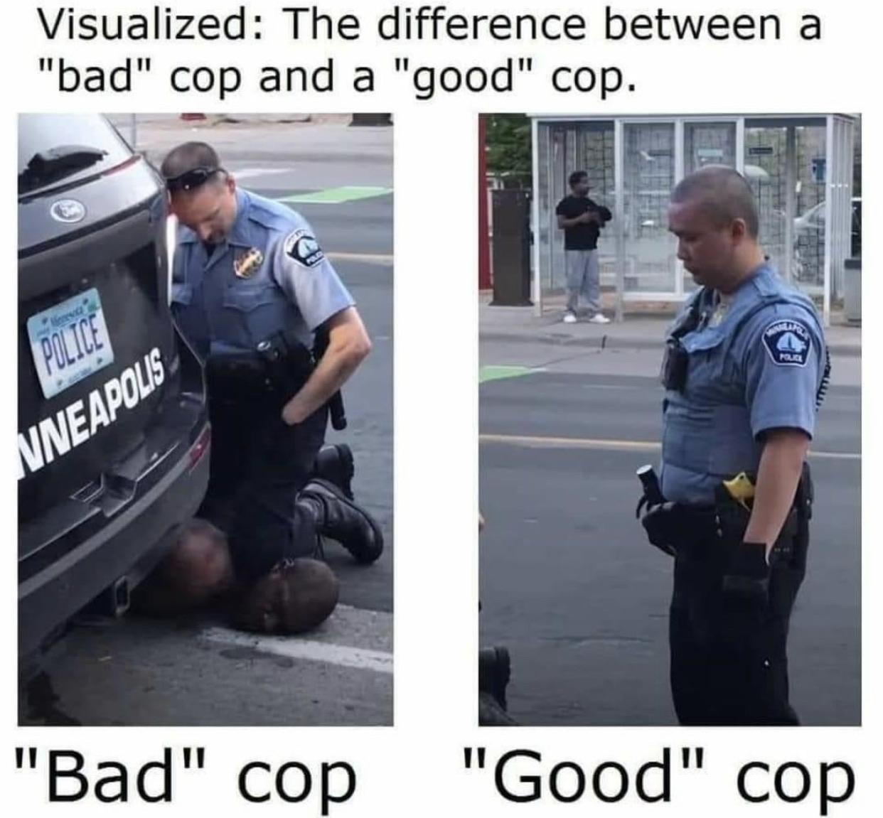 But but, only a few bad apples r/Bad_Cop_No_Donut