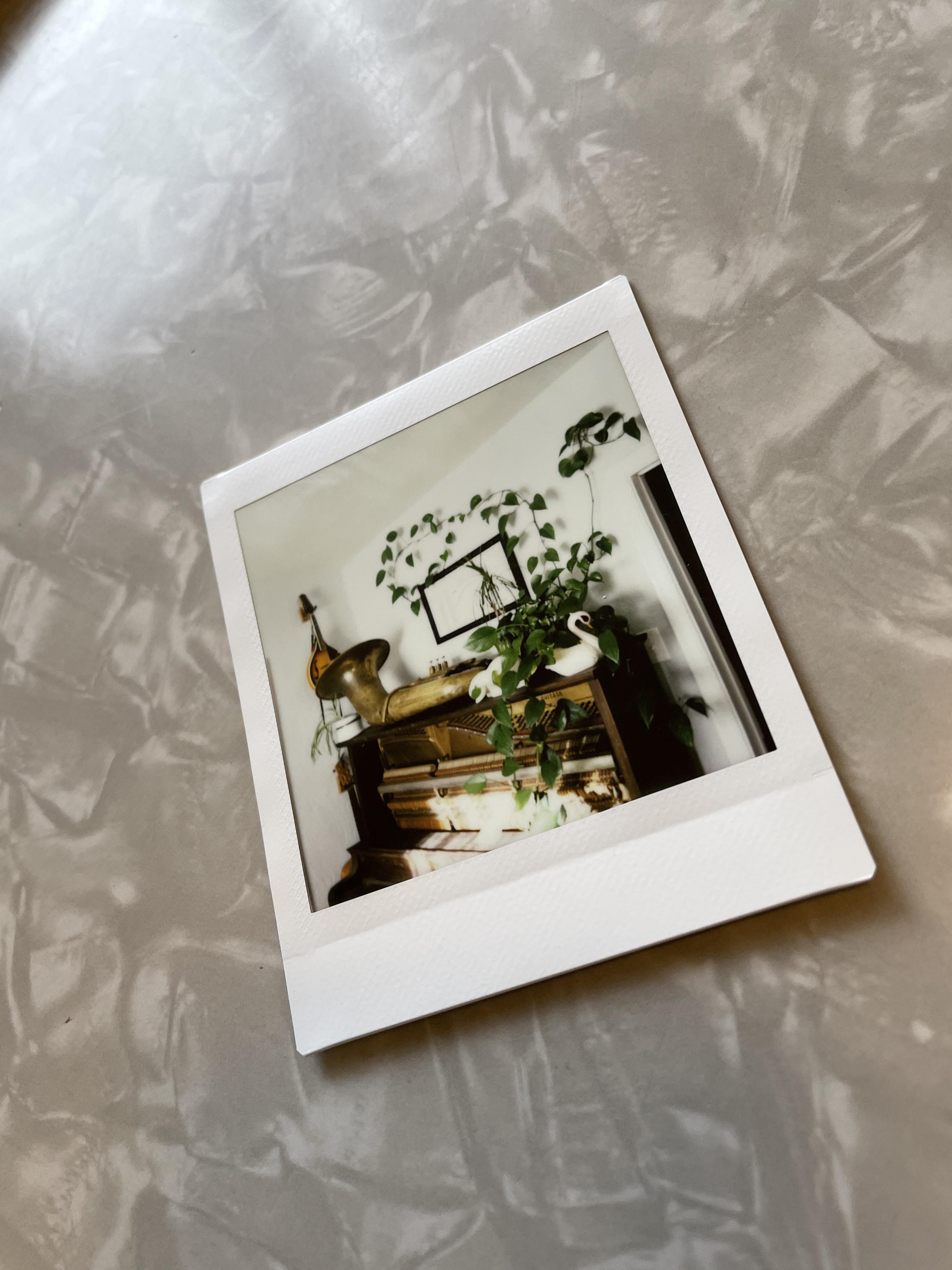 First shot on my new Instax SQ6 : r/instax