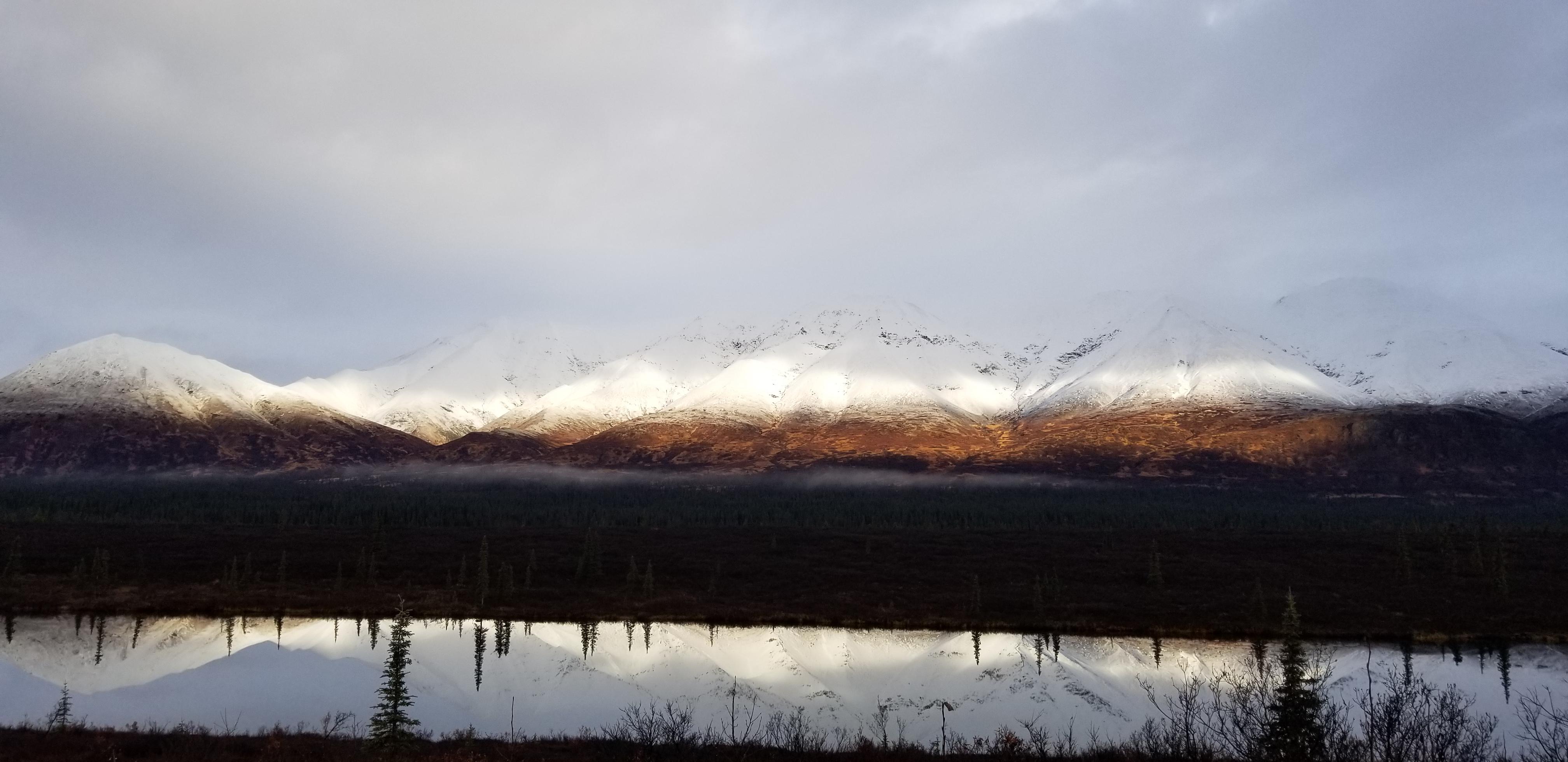 South of Cantwell AK. r/CampingandHiking