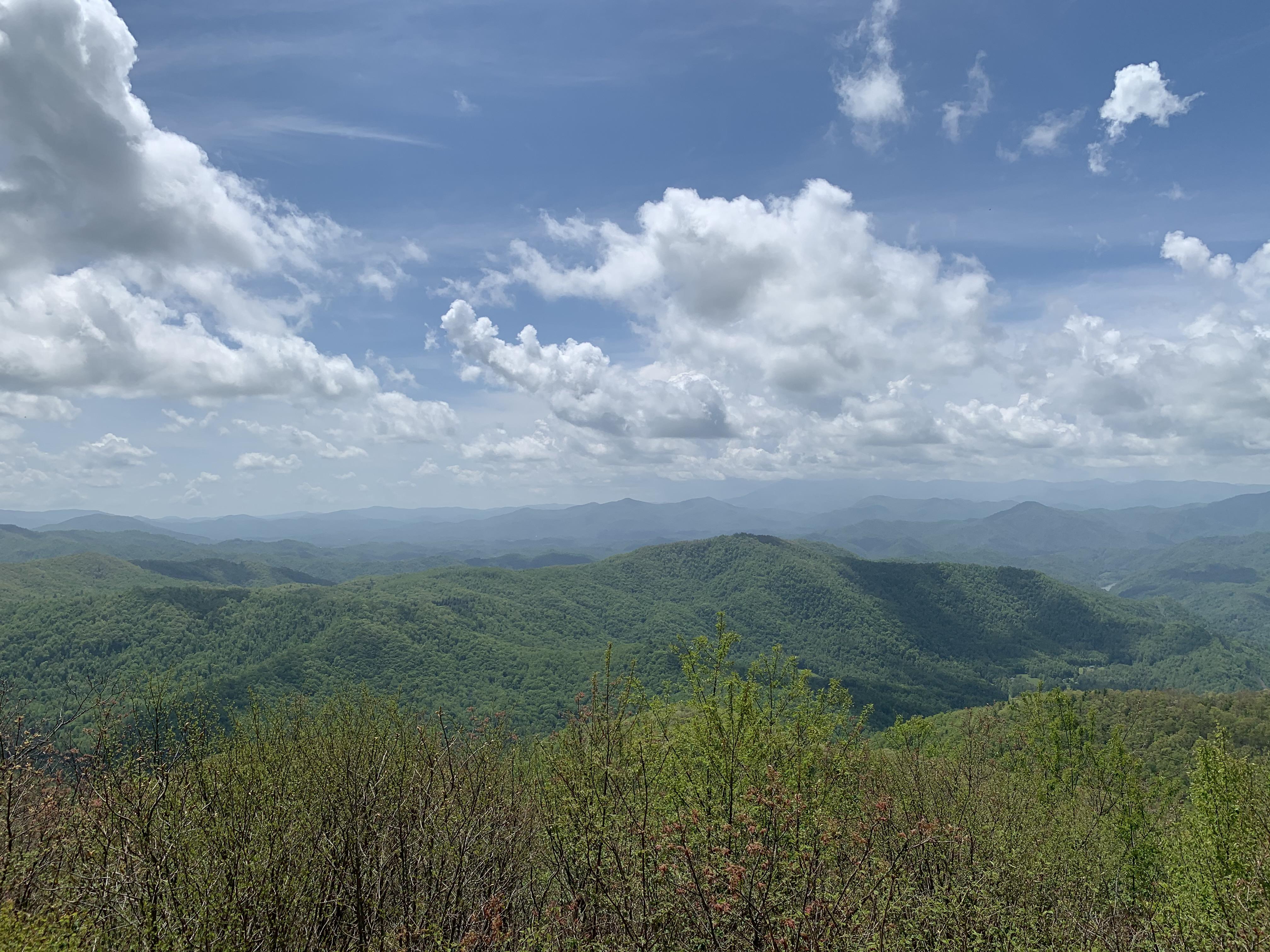 Unaka Beauty Spot 5/24/20 r/Tennessee