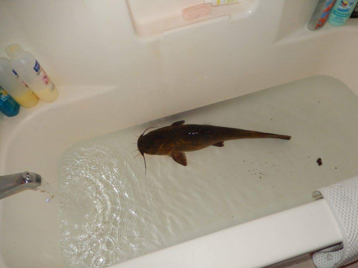 Lol, imagine coming into your bathroom at 6 am, half asleep to see a