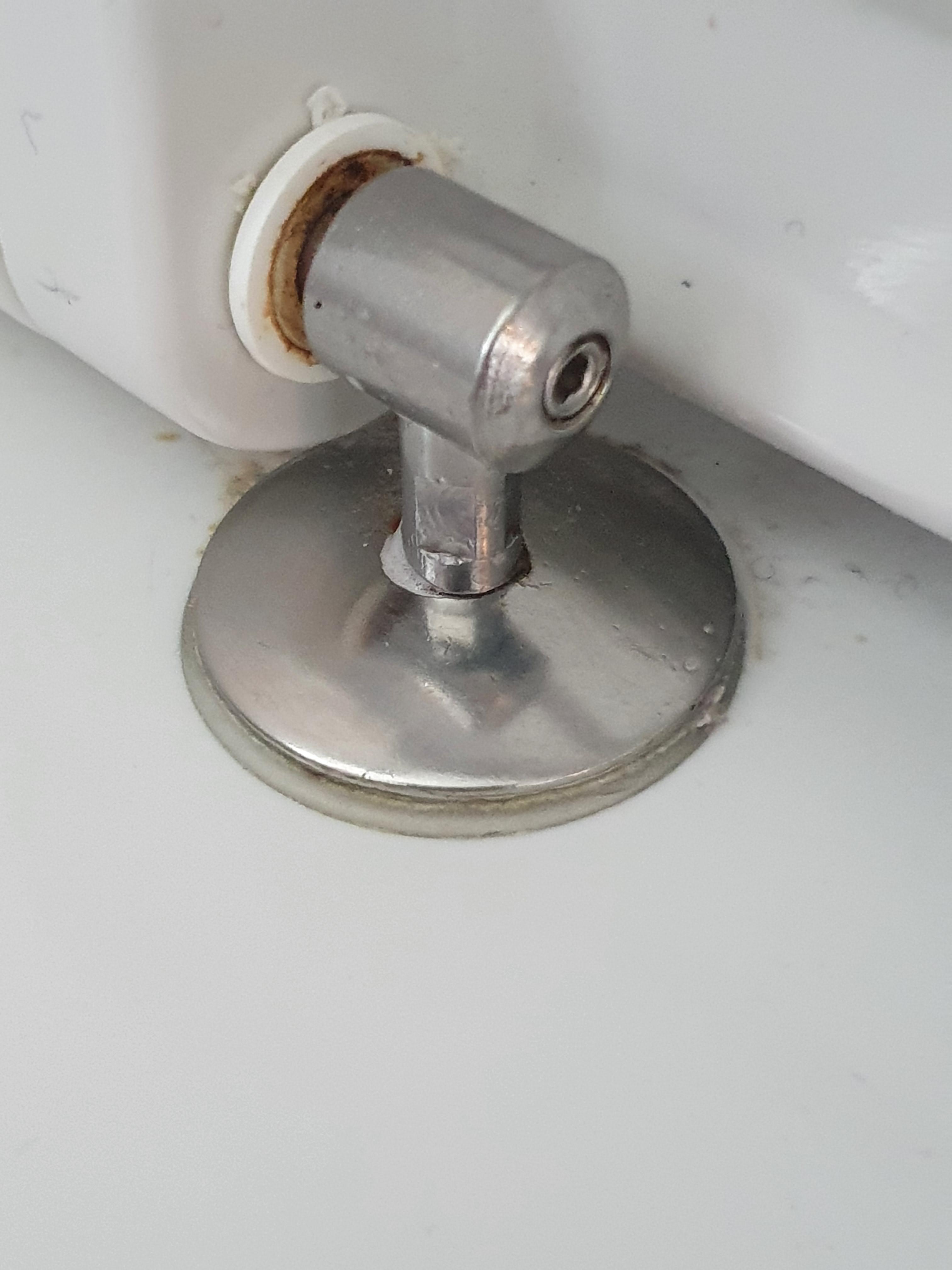 Toilet seat fitting...Help! How do I remove this? r/Plumbing