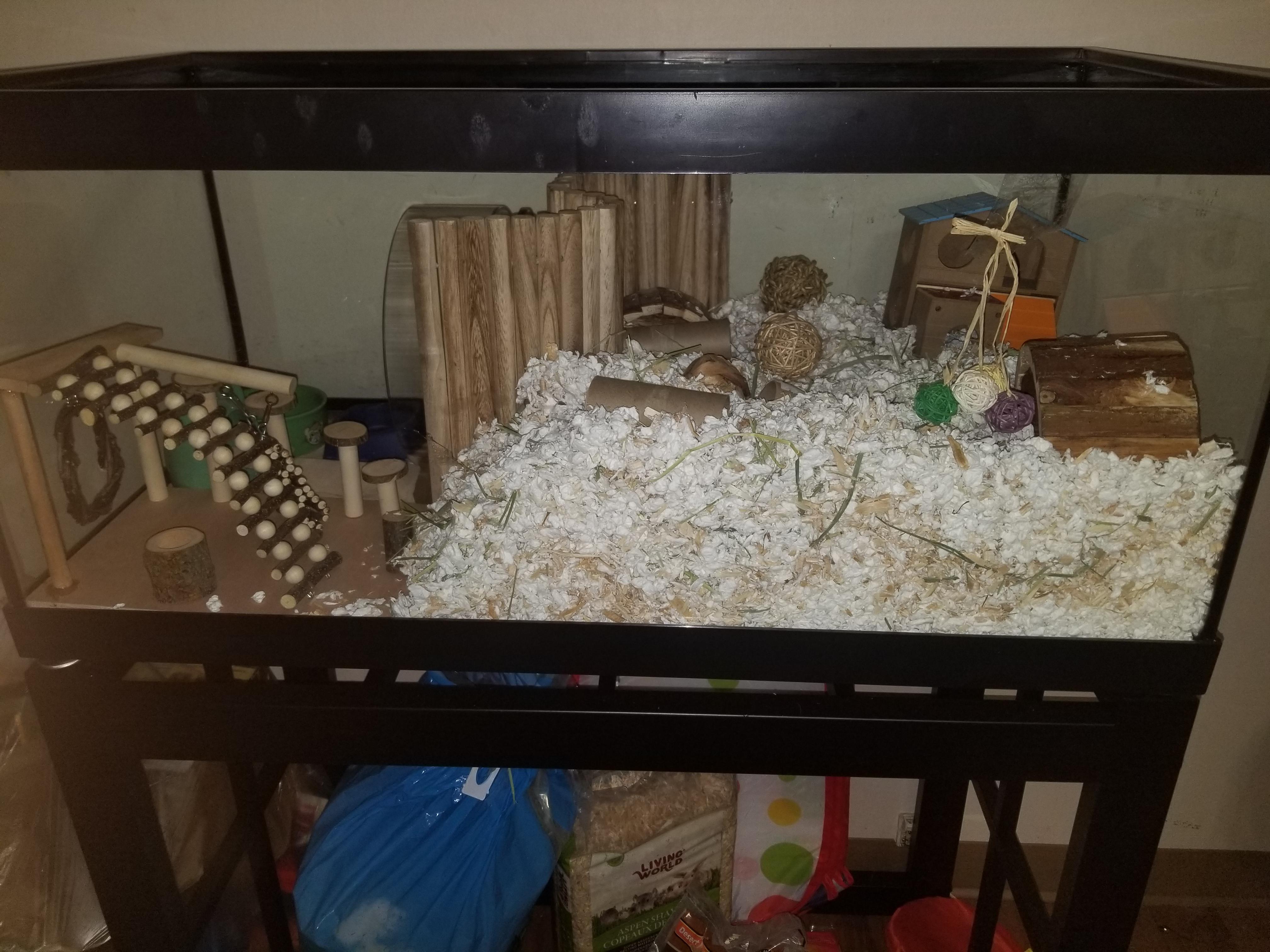 I've had my gerbils for around 4 days. How can I stop them from getting