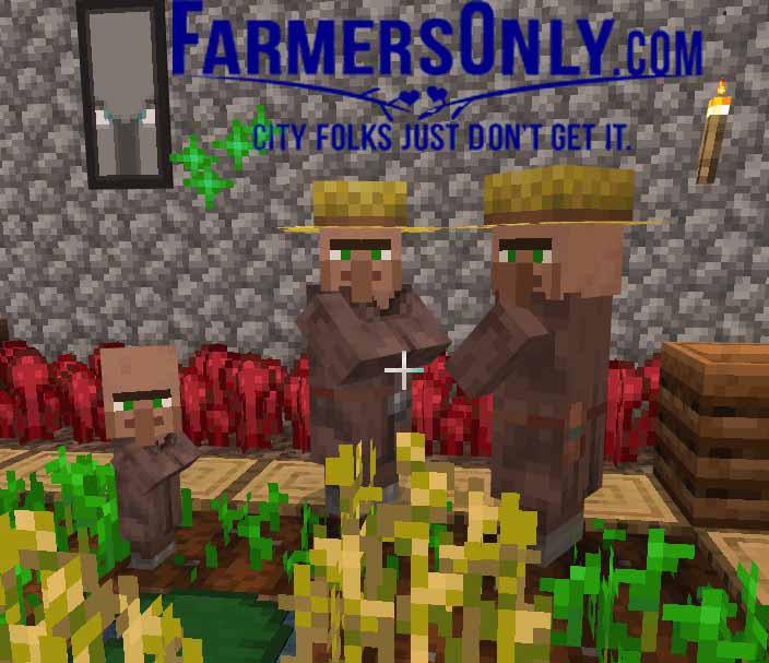 Pillagers just don't get it. MinecraftMemes