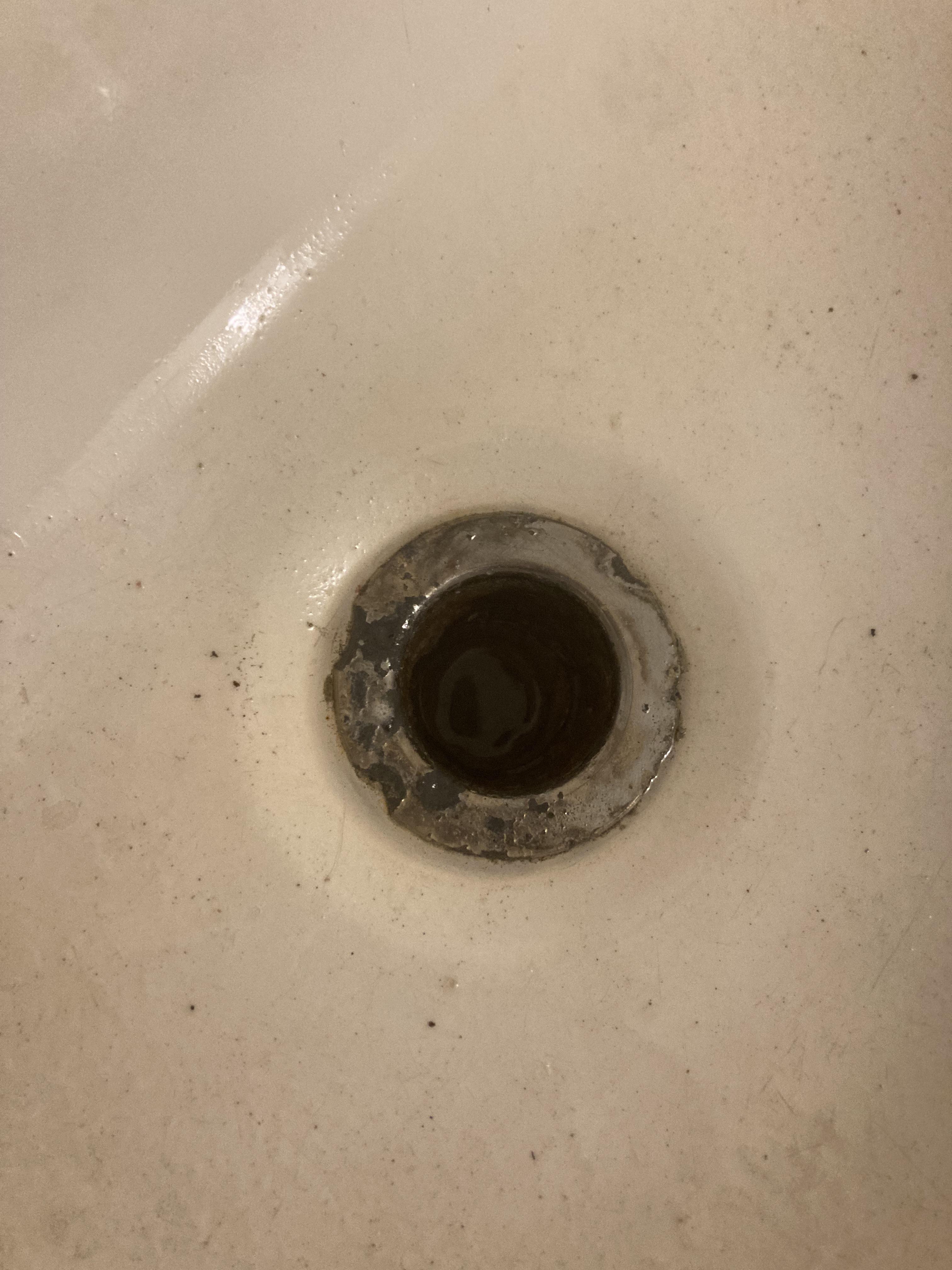 Can see standing water from shower drain r/fixit