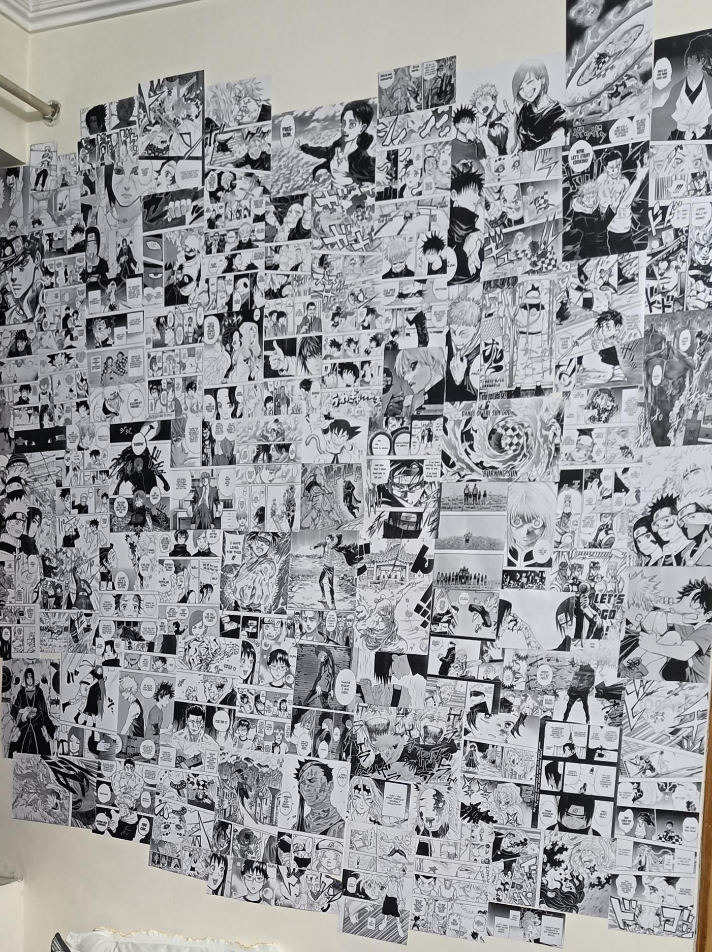 I made a manga wall for my room r/MangaCollectors
