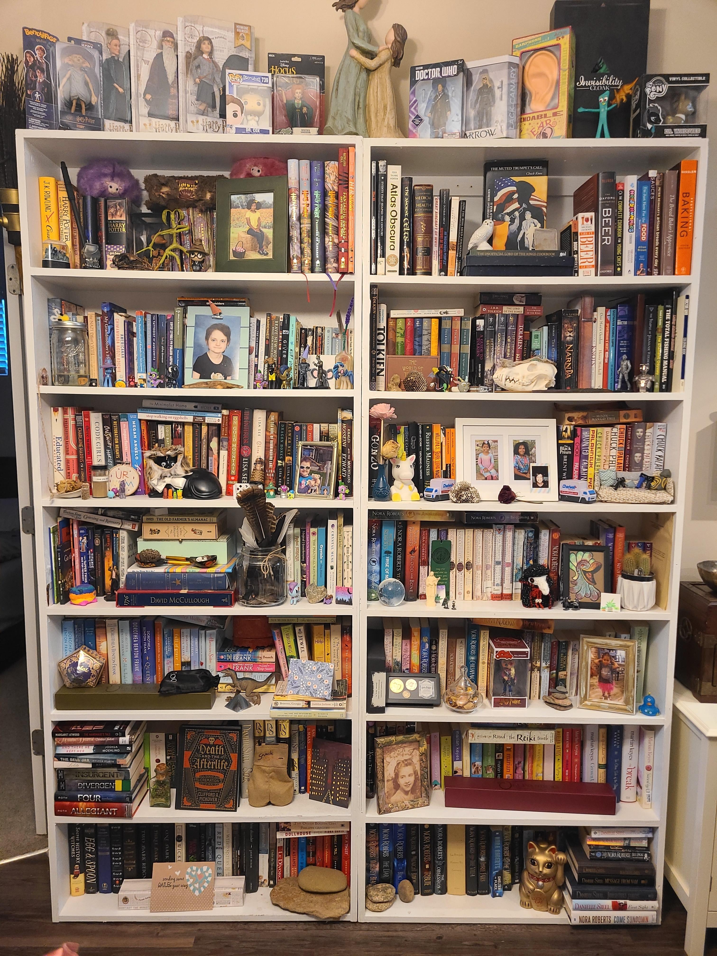 My Chaos r/bookshelf