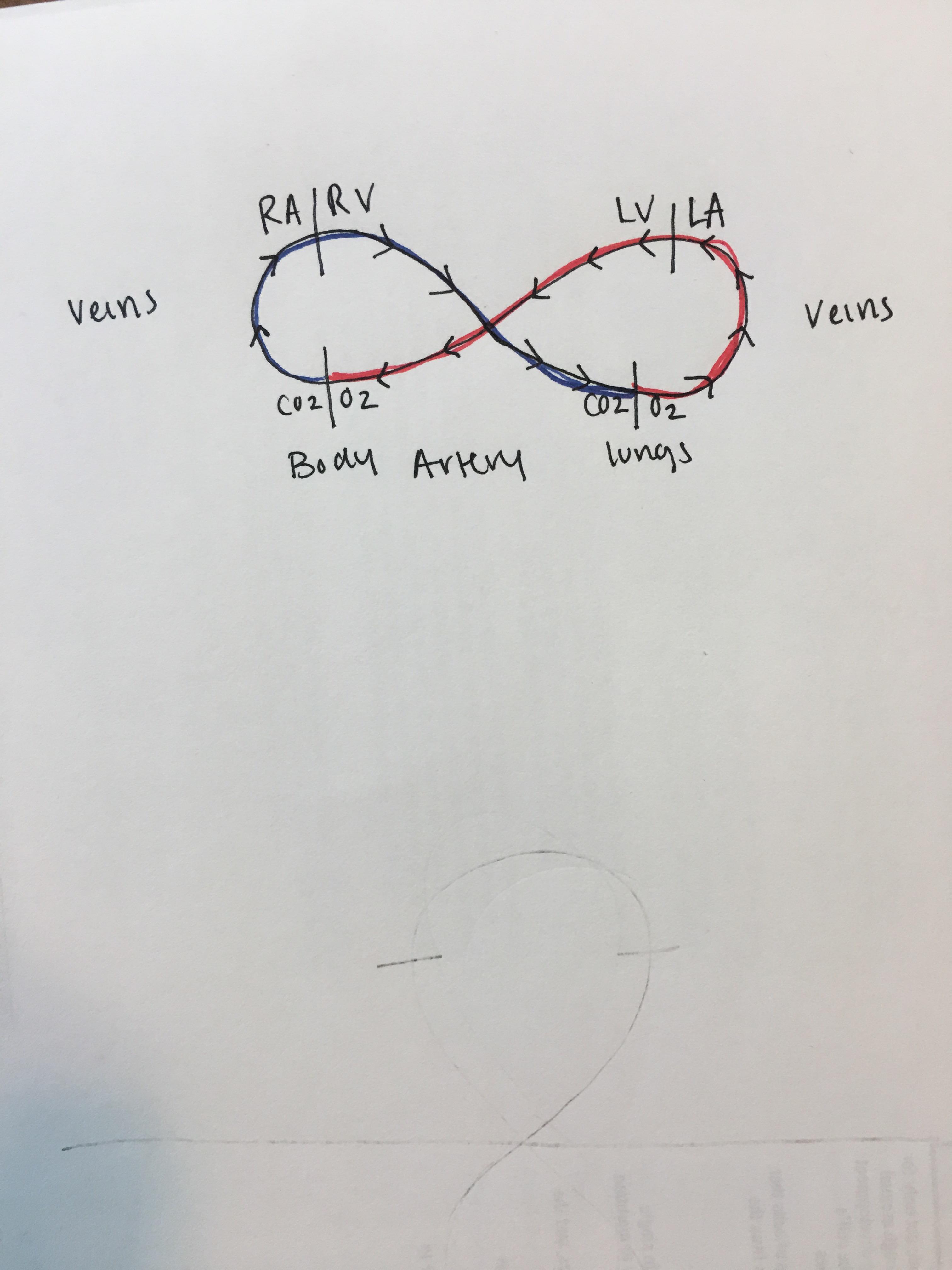 Took some time to figure out, but simple diagram to remember the