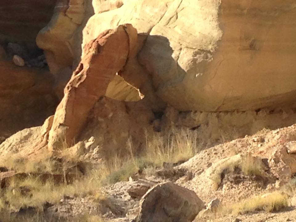 new meaning of rock hard r/mildlypenis