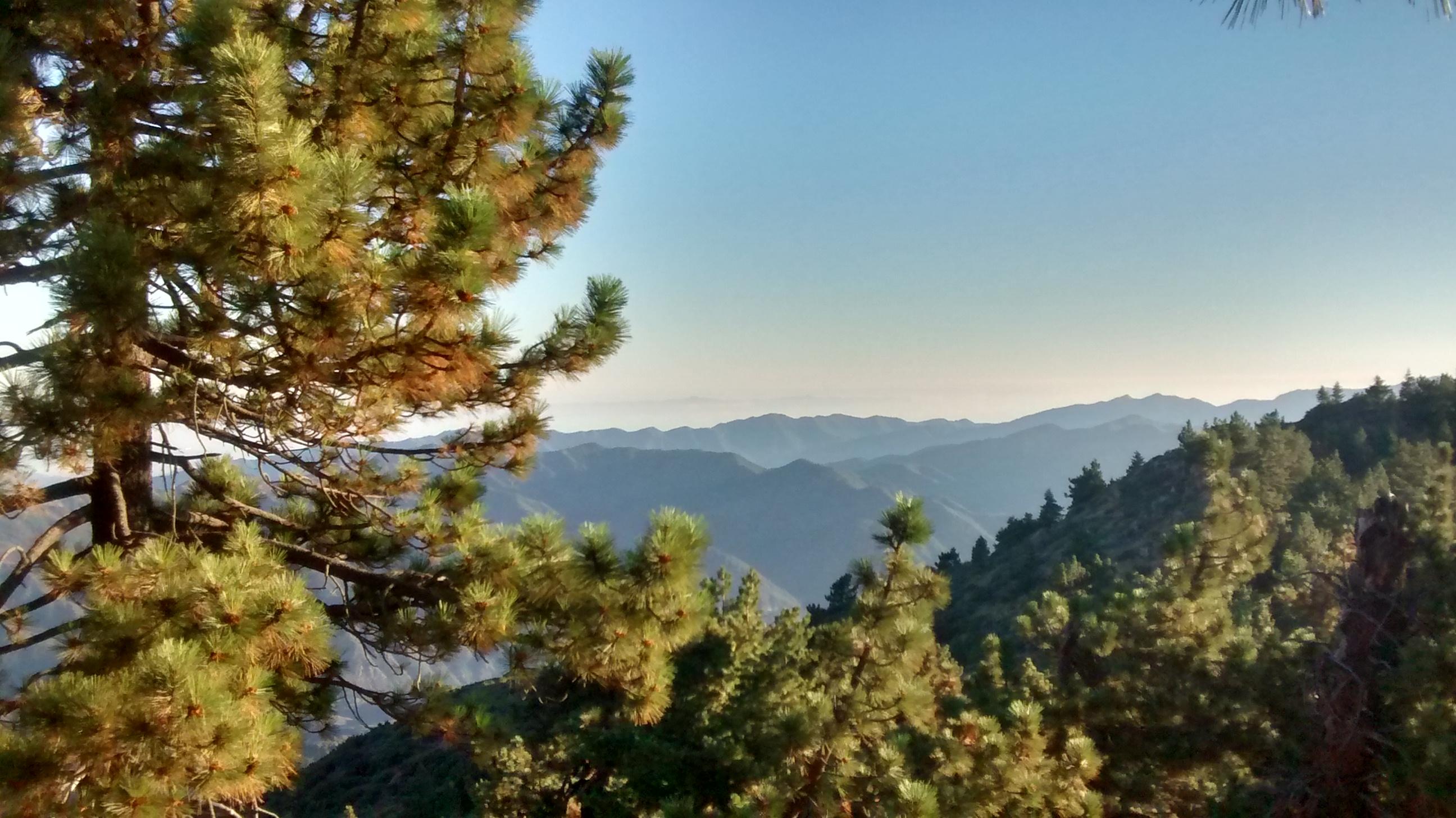 Near top of Reyes Peak, CA. [OC][2592x1456] r/EarthPorn
