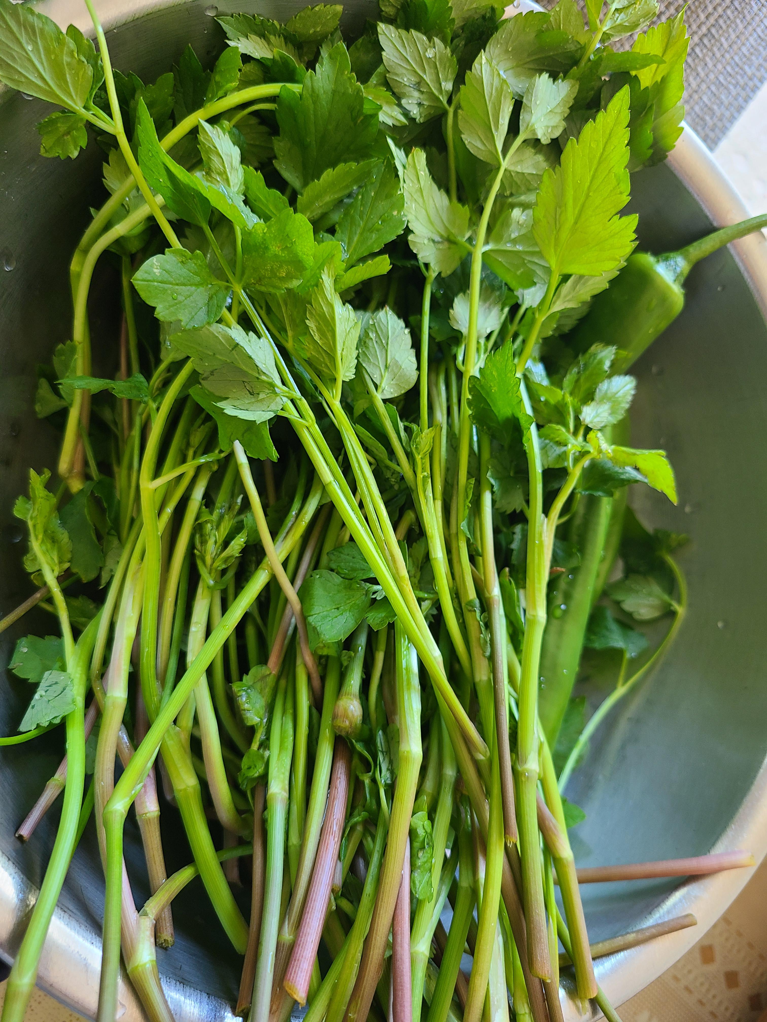 Minari from mom's garden KoreanFood