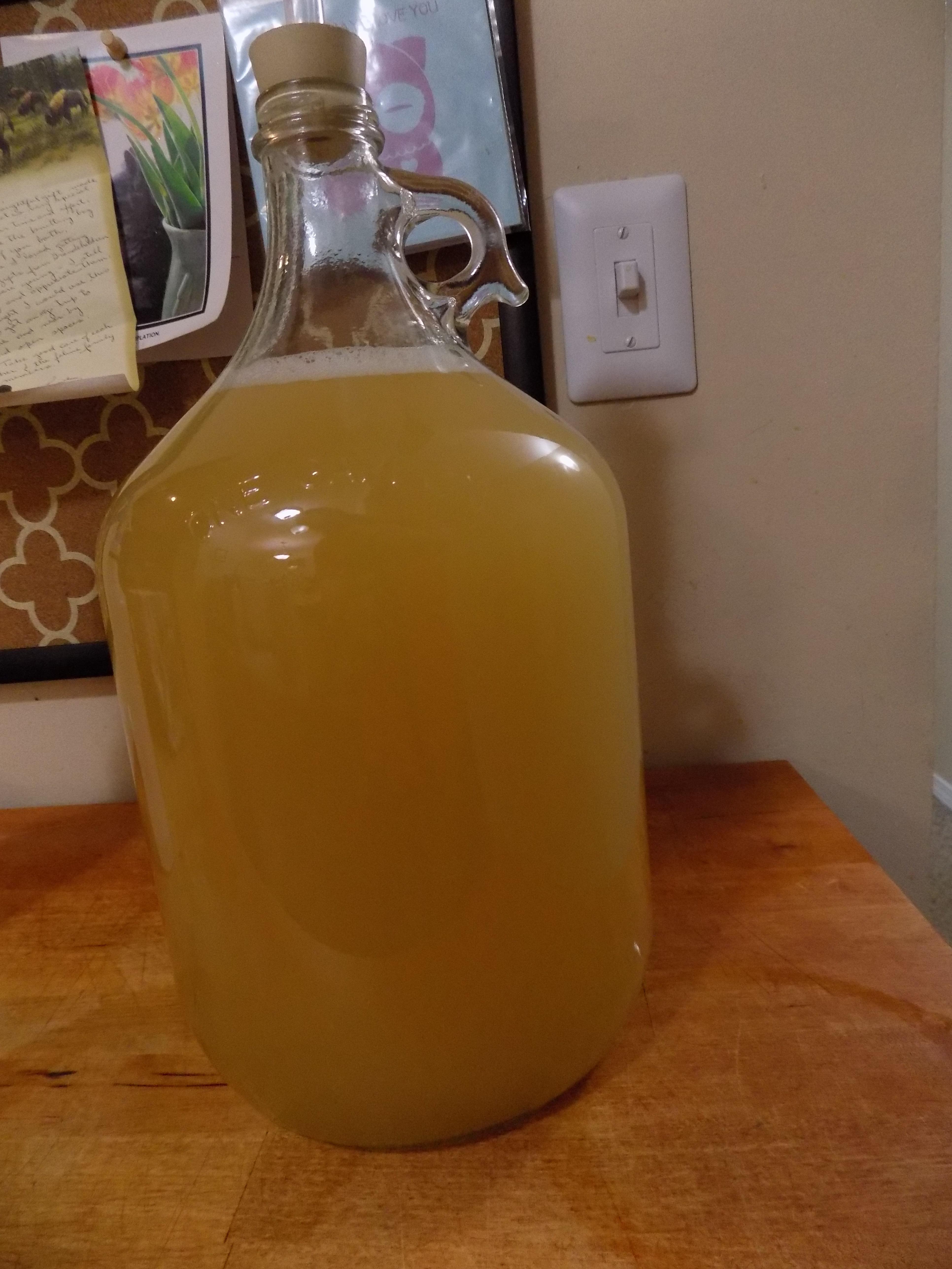 Attempt at making "Craft Mead" Part 2 r/mead