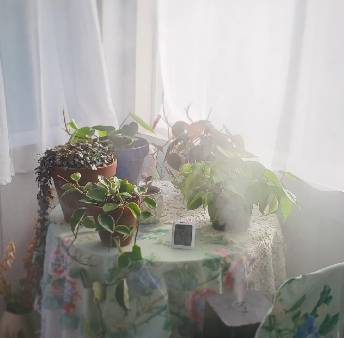 Usually turn the humidifier off at night, but sometimes I forget and