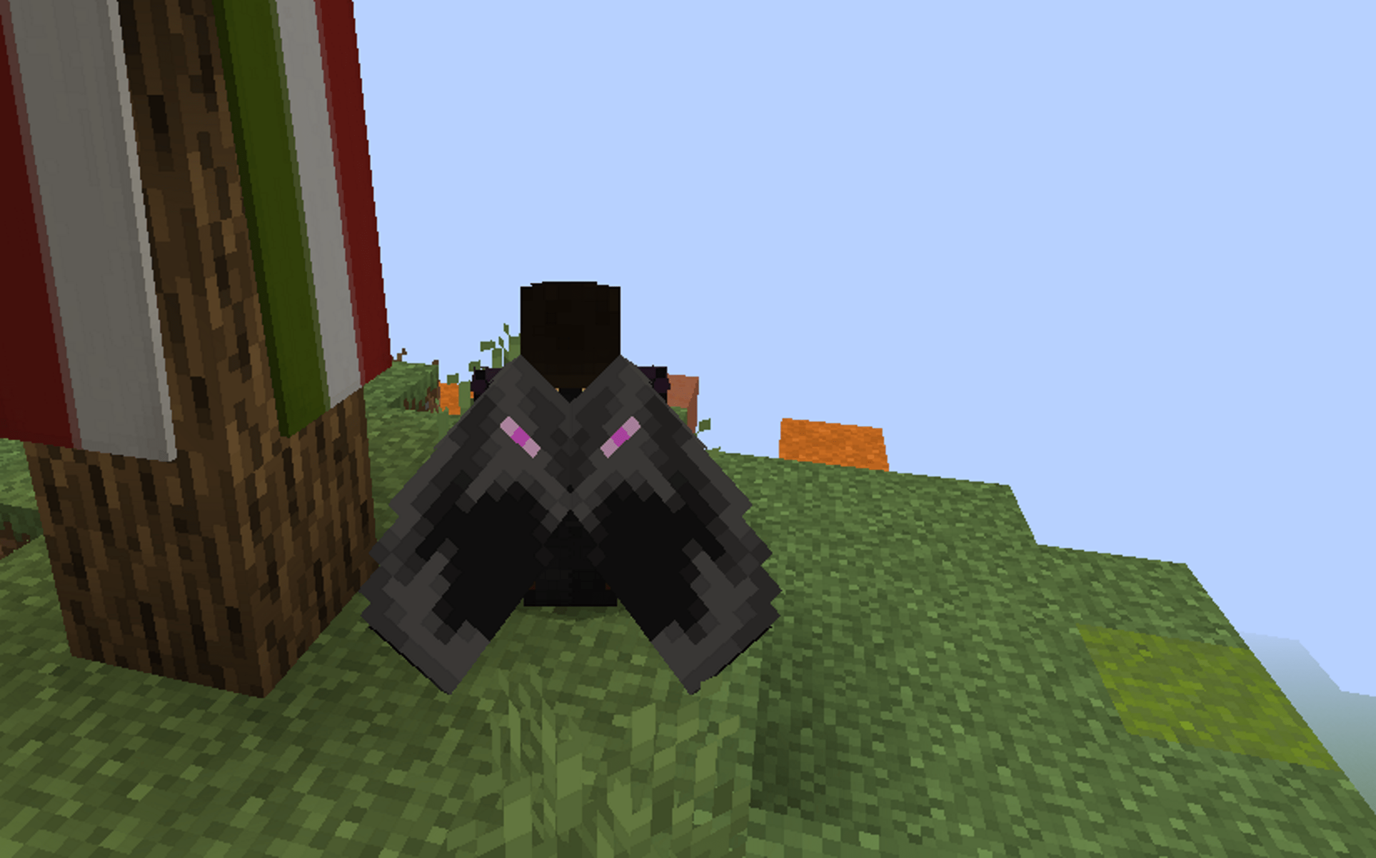 Is it just me, or does the Minecon 2016 cape elytra texture have a
