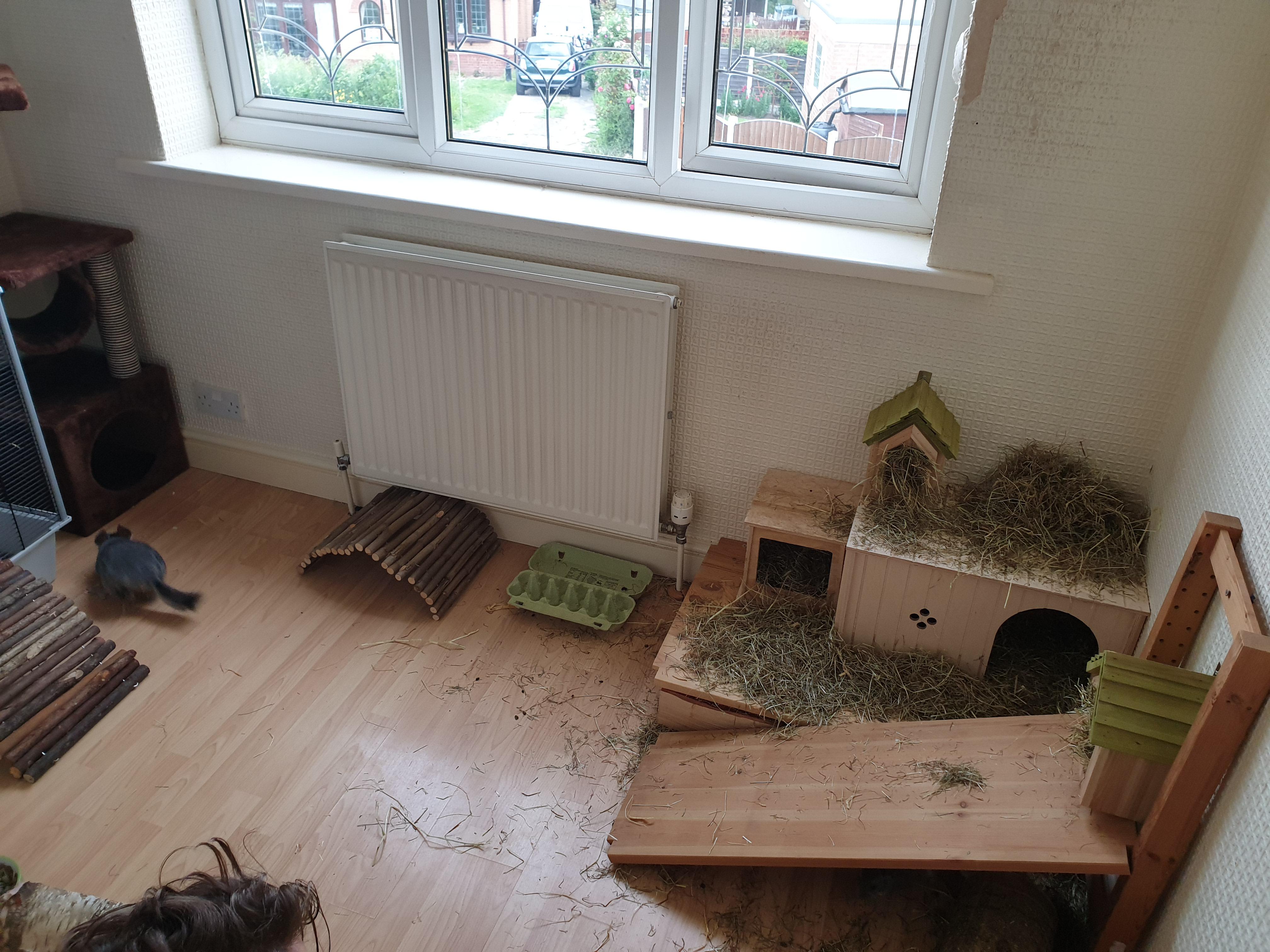 We built a room for our chinchillas r/chinchilla