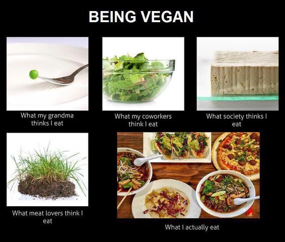 the story of my Life... Yep This is what being vegan means vegan