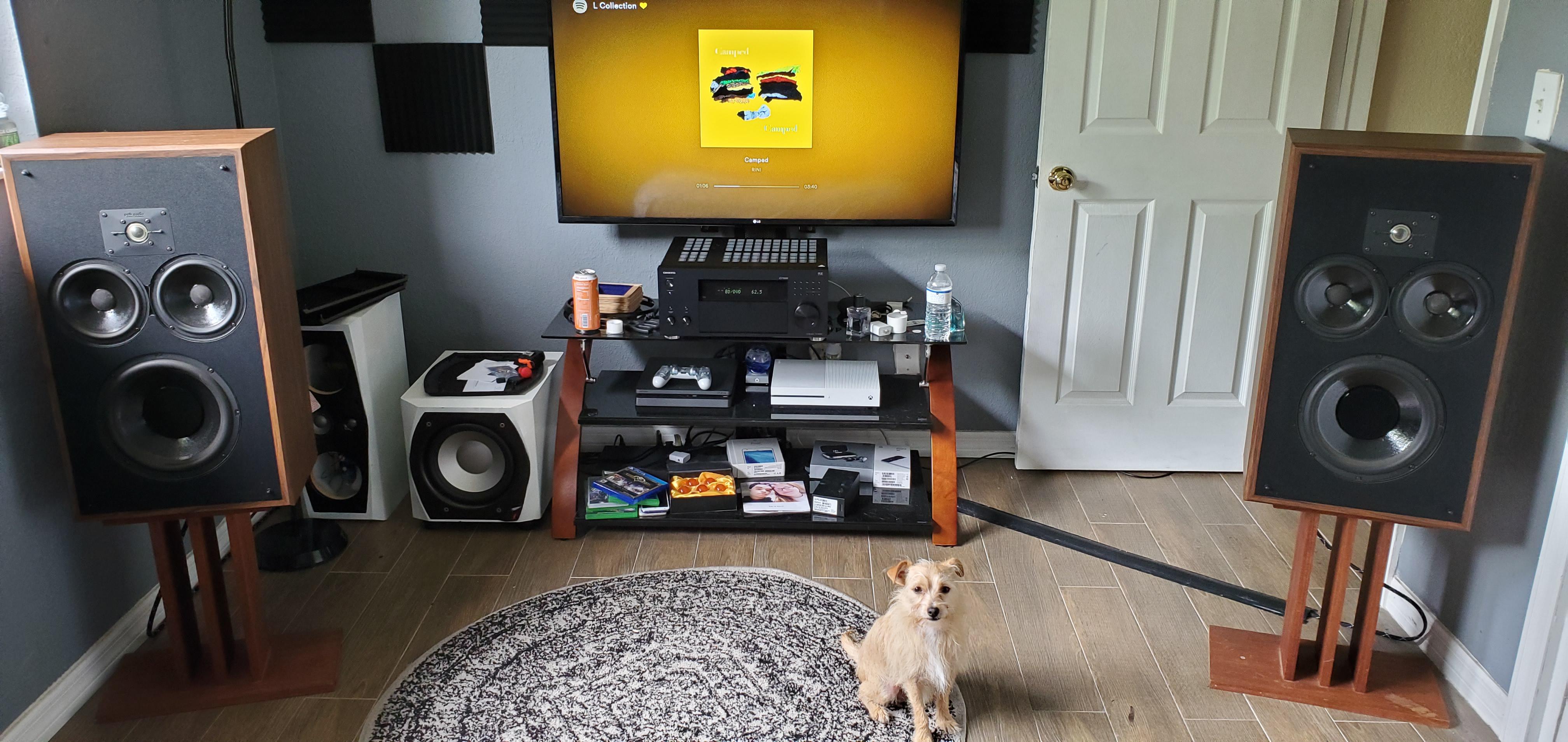 First vintage speakers r/audiophile