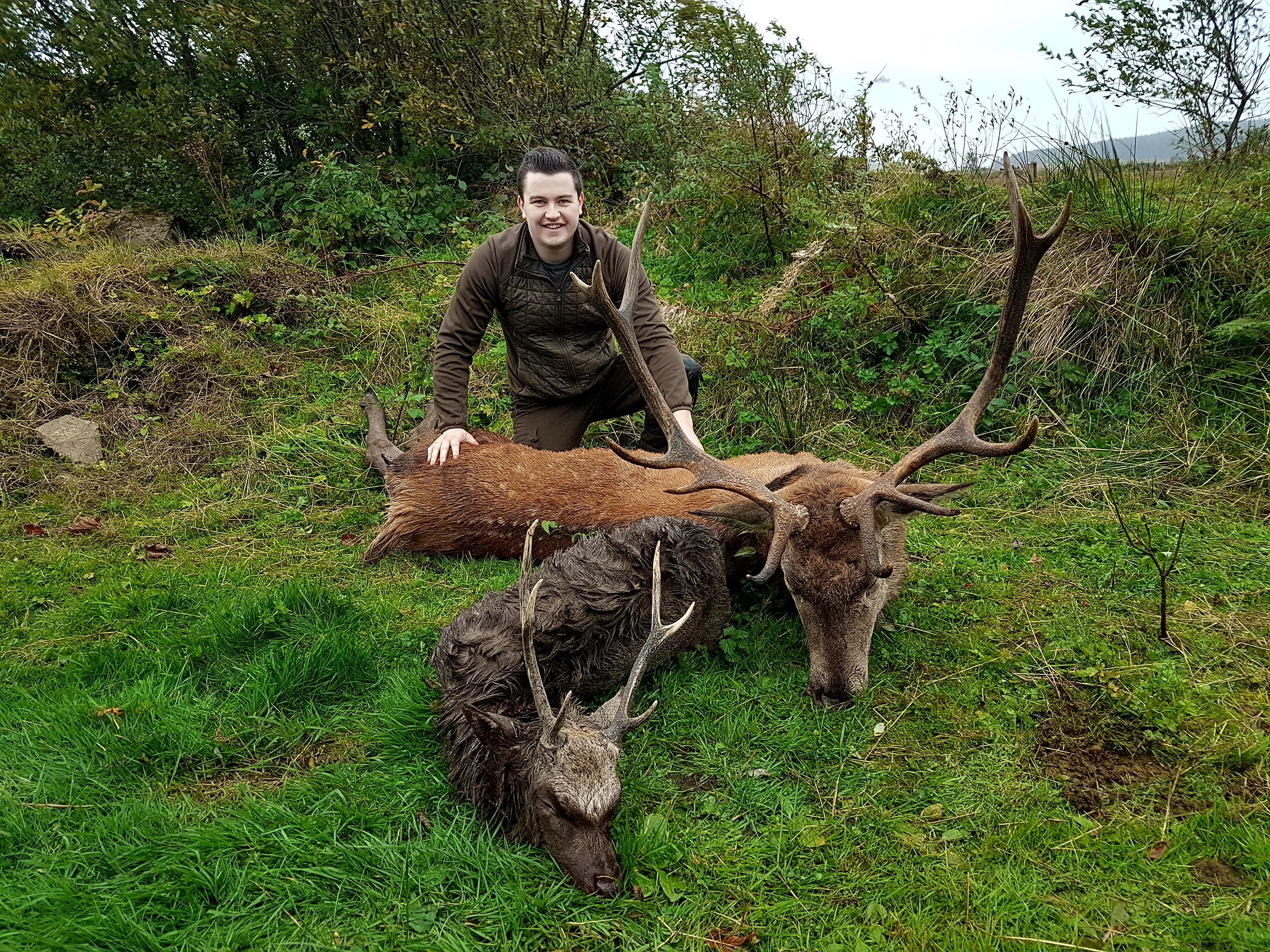Swap Hunt in Ireland I can offer Red, Sika, Fallow and Red Fox