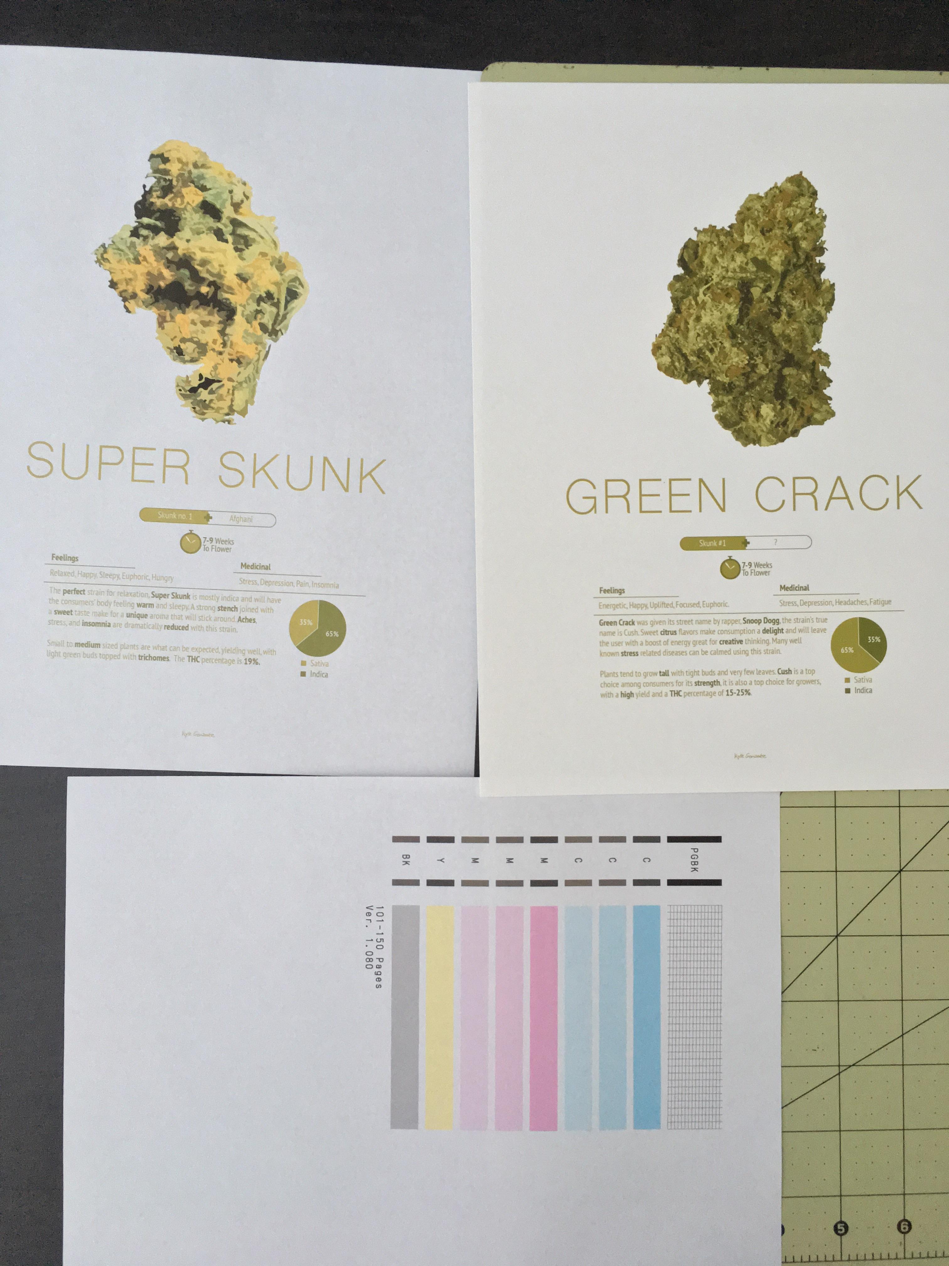 Driver Canon Ix6820 : So you need new drivers to be connected again (we