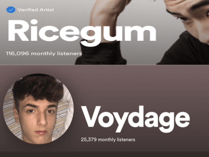 Void is losing to Ricegum.. we need to help him get more monthly listeners! r/ksi