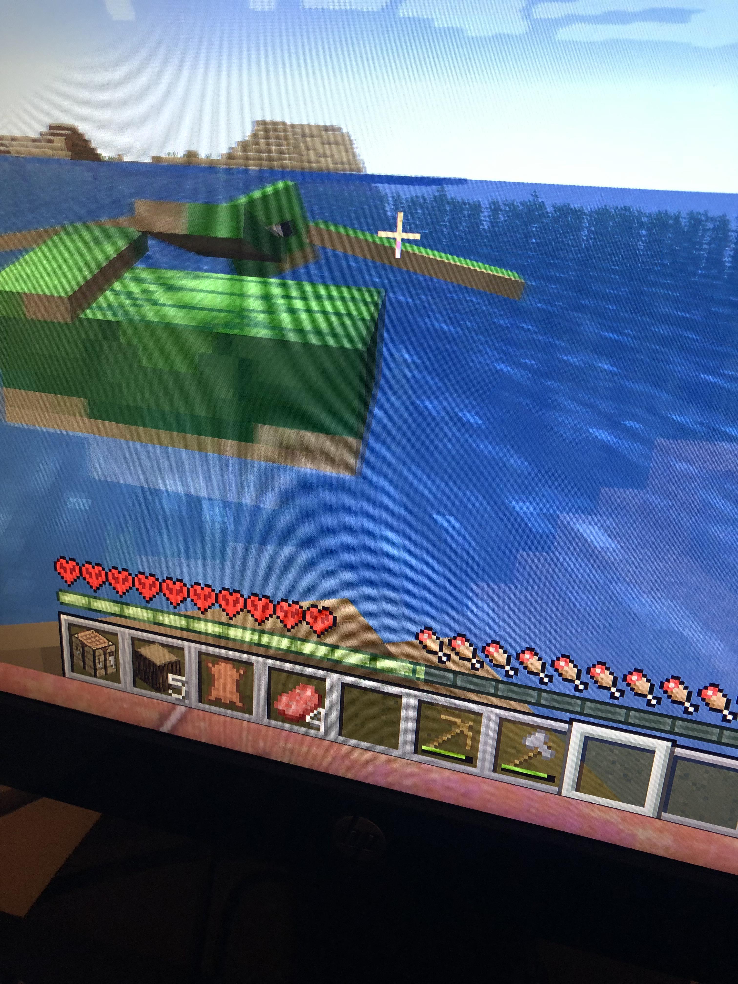 There’s something wrong with the turtles they look like something r